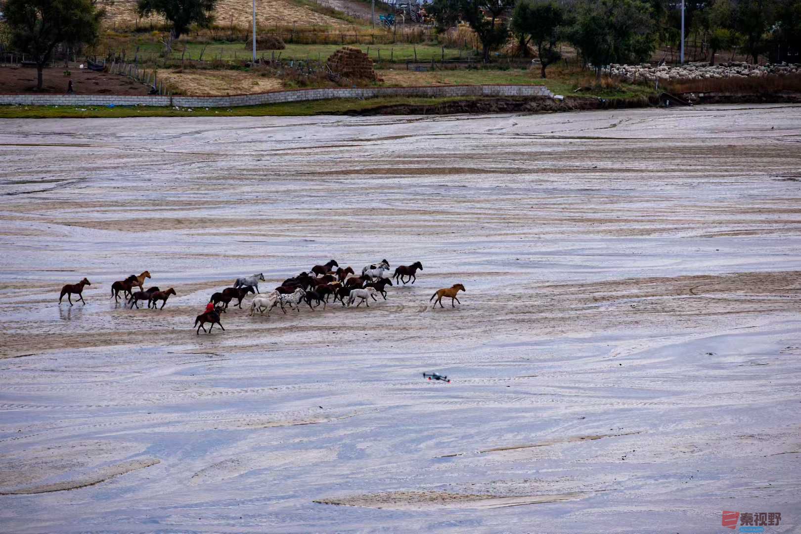 张宝光_2025-10-29_100724_755 (8).jpg