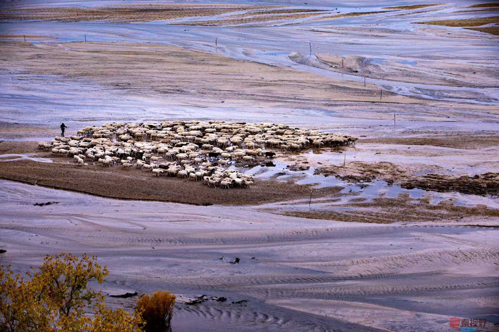 张宝光_2025-10-29_100724_755 (3).jpg