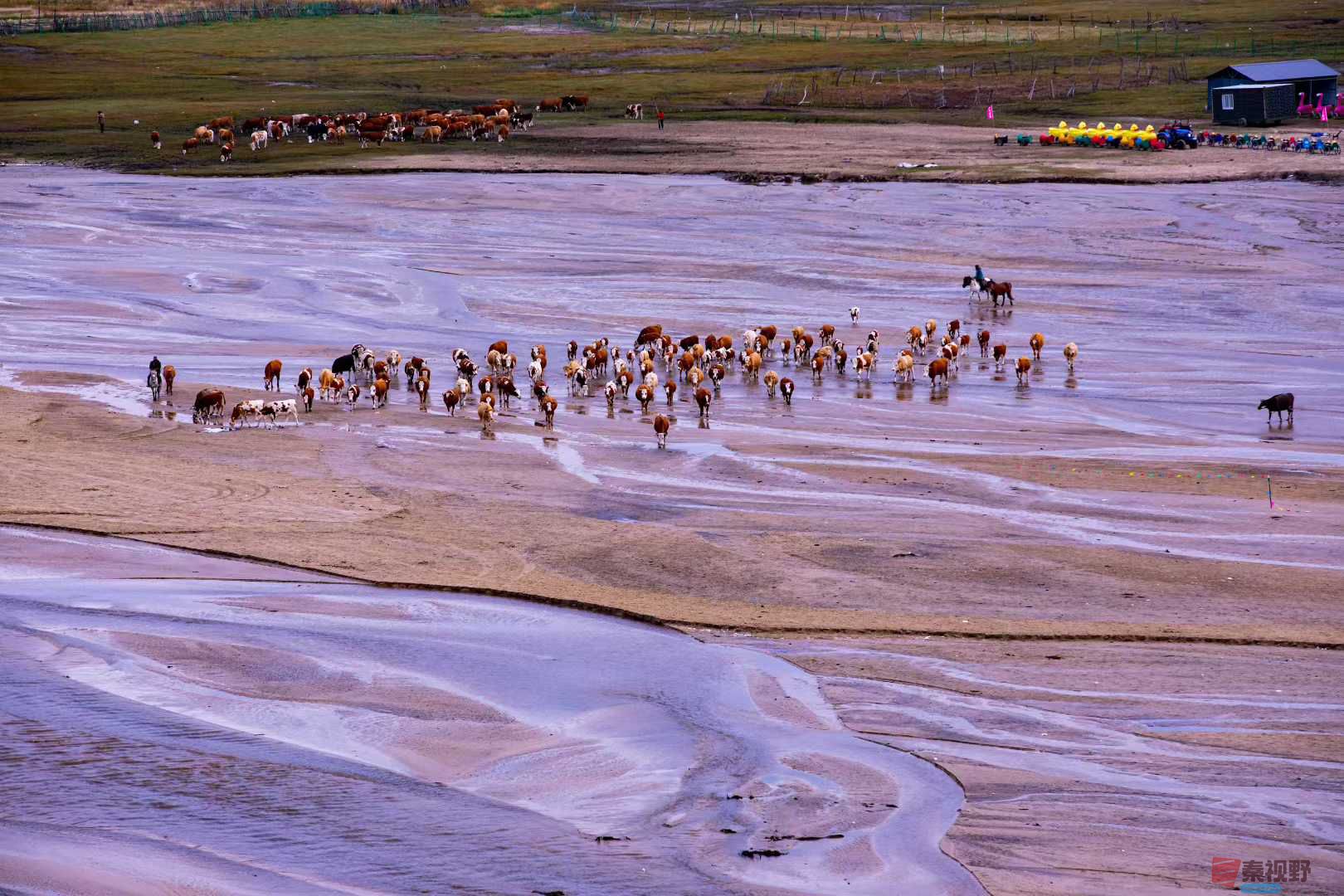 张宝光_2025-10-29_100724_755 (5).jpg