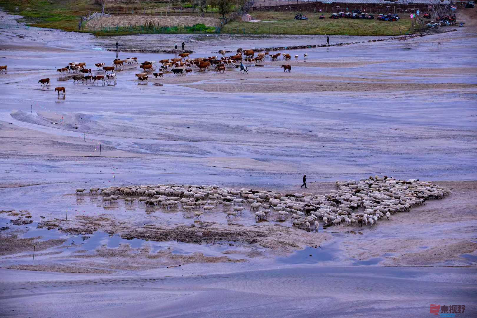 张宝光_2025-10-29_100724_755 (7).jpg