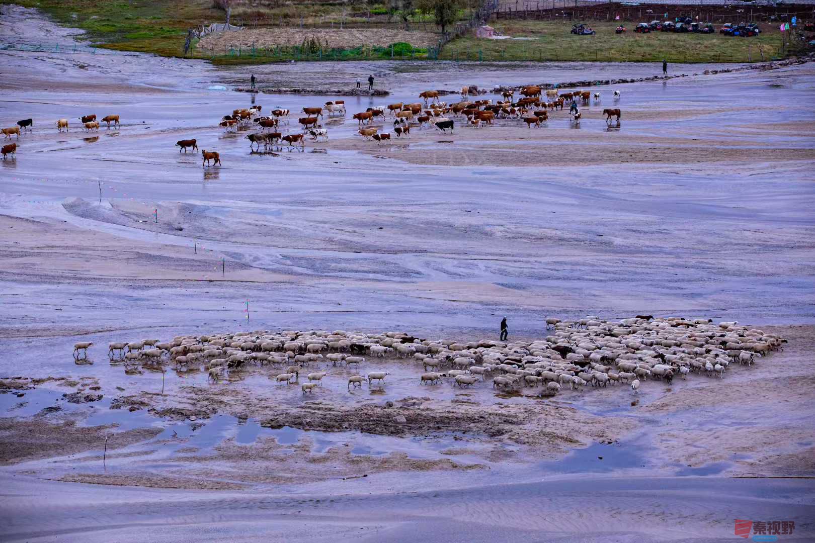 张宝光_2025-10-29_100724_755 (9).jpg