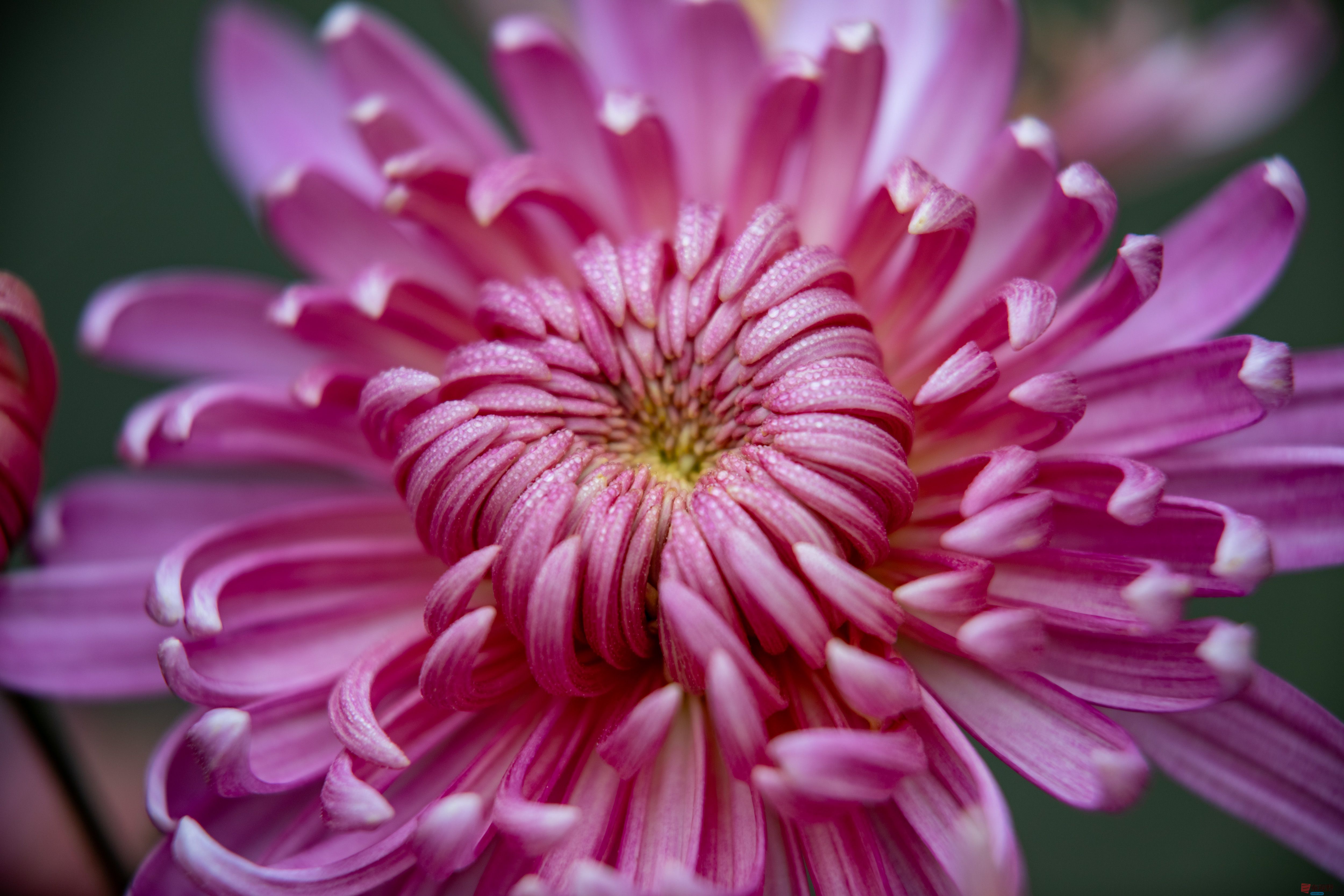 张宝光_20251029213345_2507_463 (4).jpg