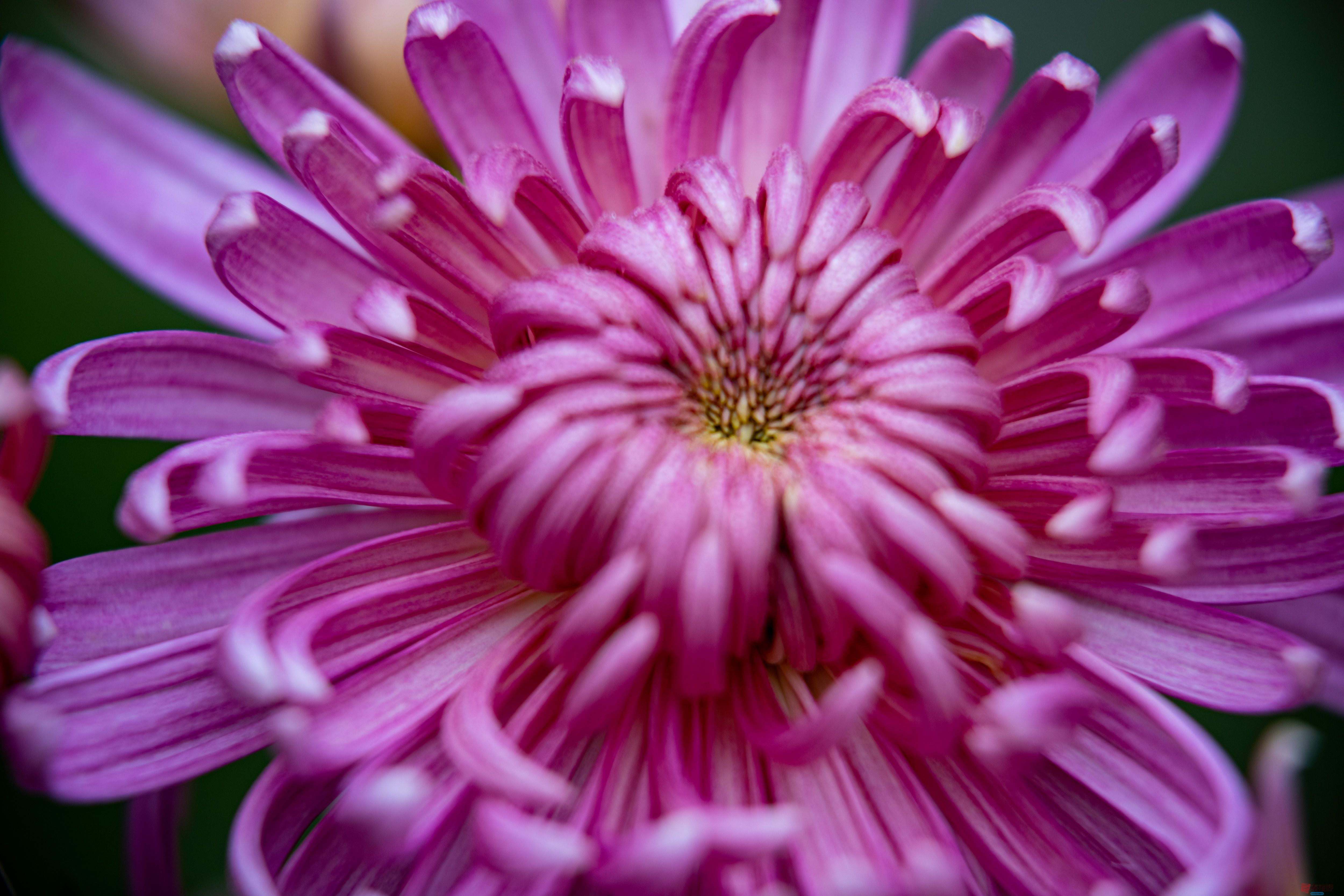 张宝光_20251029213345_2507_463 (5).jpg