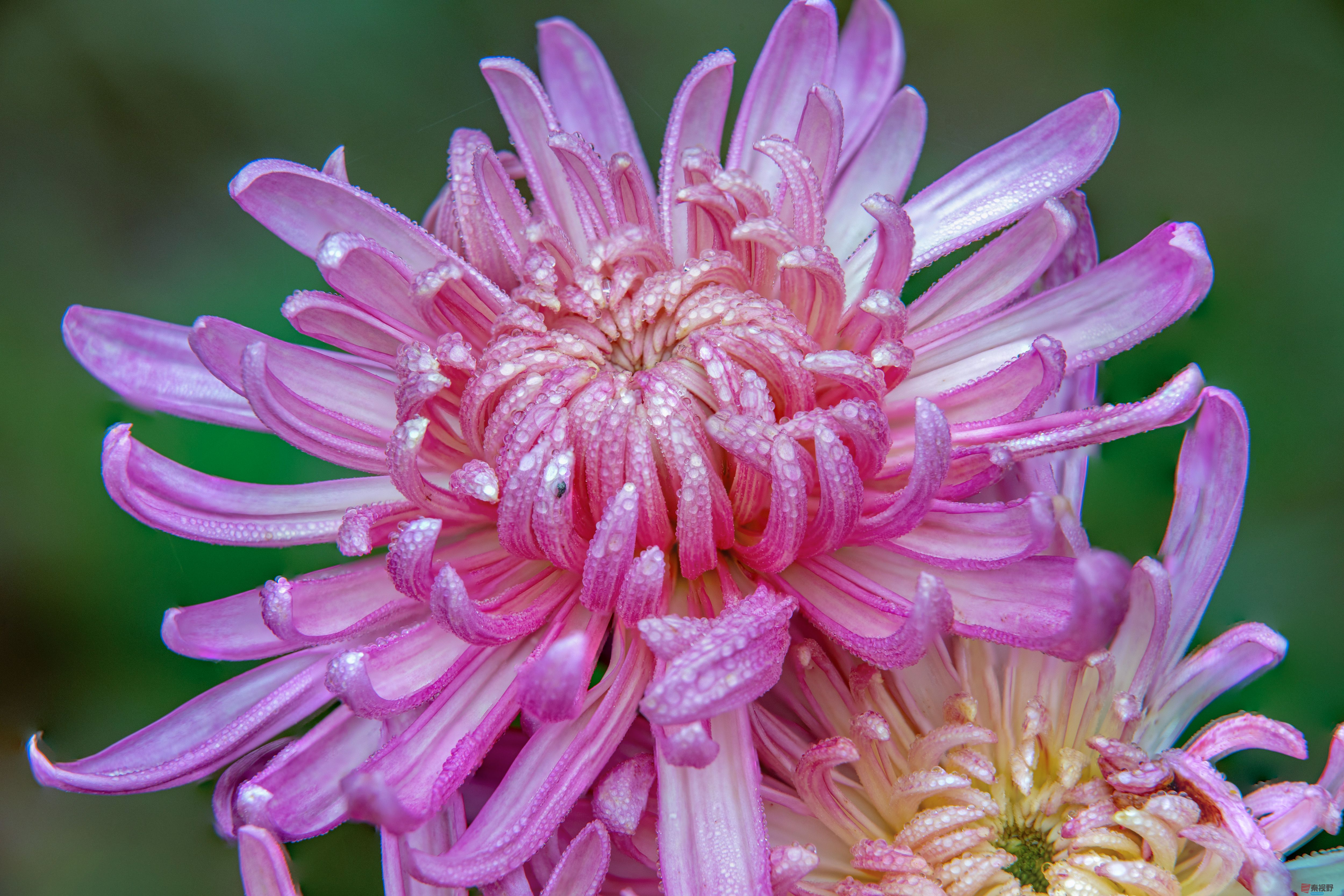 张宝光_20251029213345_2507_463 (7).jpg