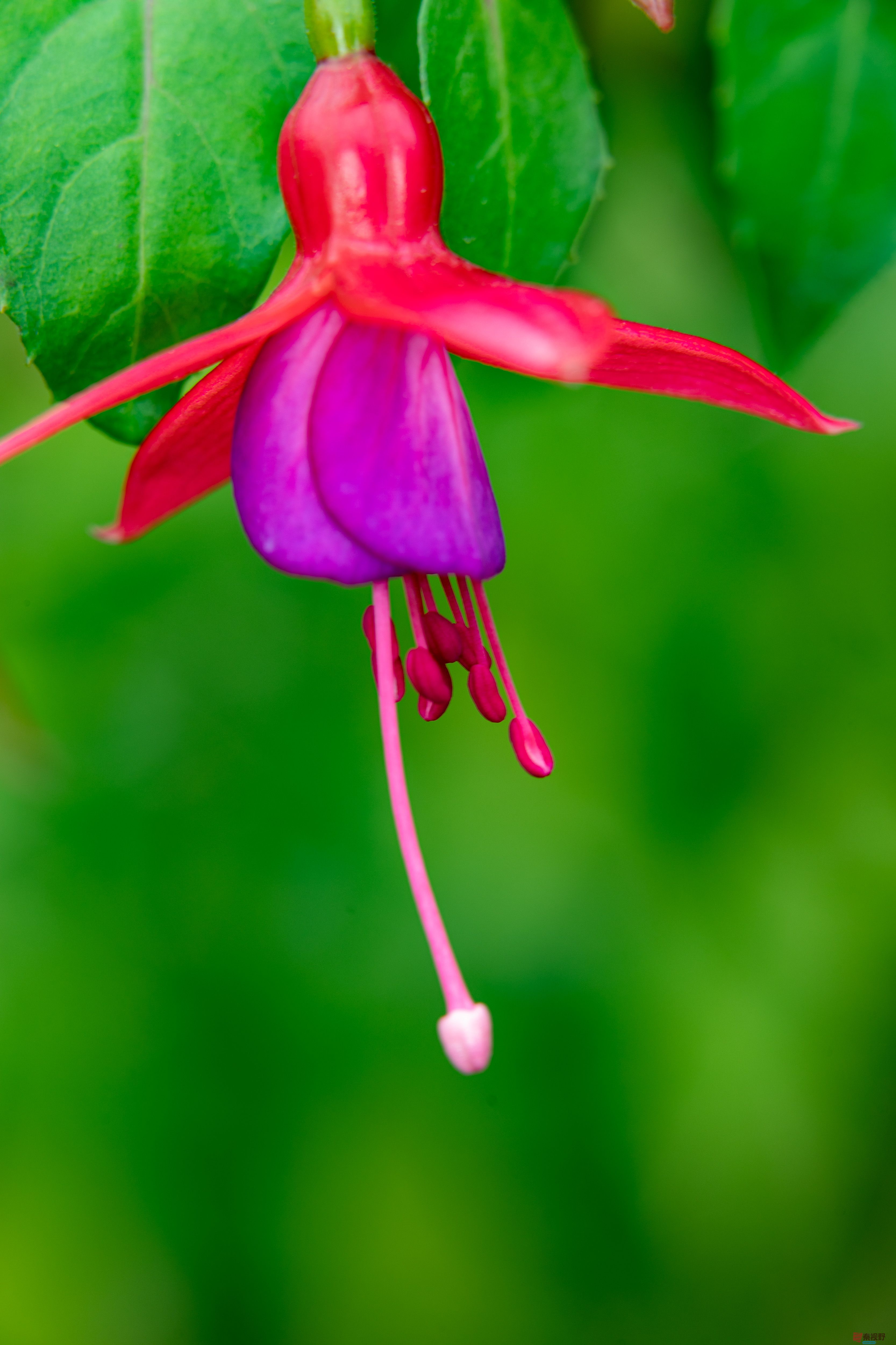 张宝光_20251029213345_2507_463 (14).jpg