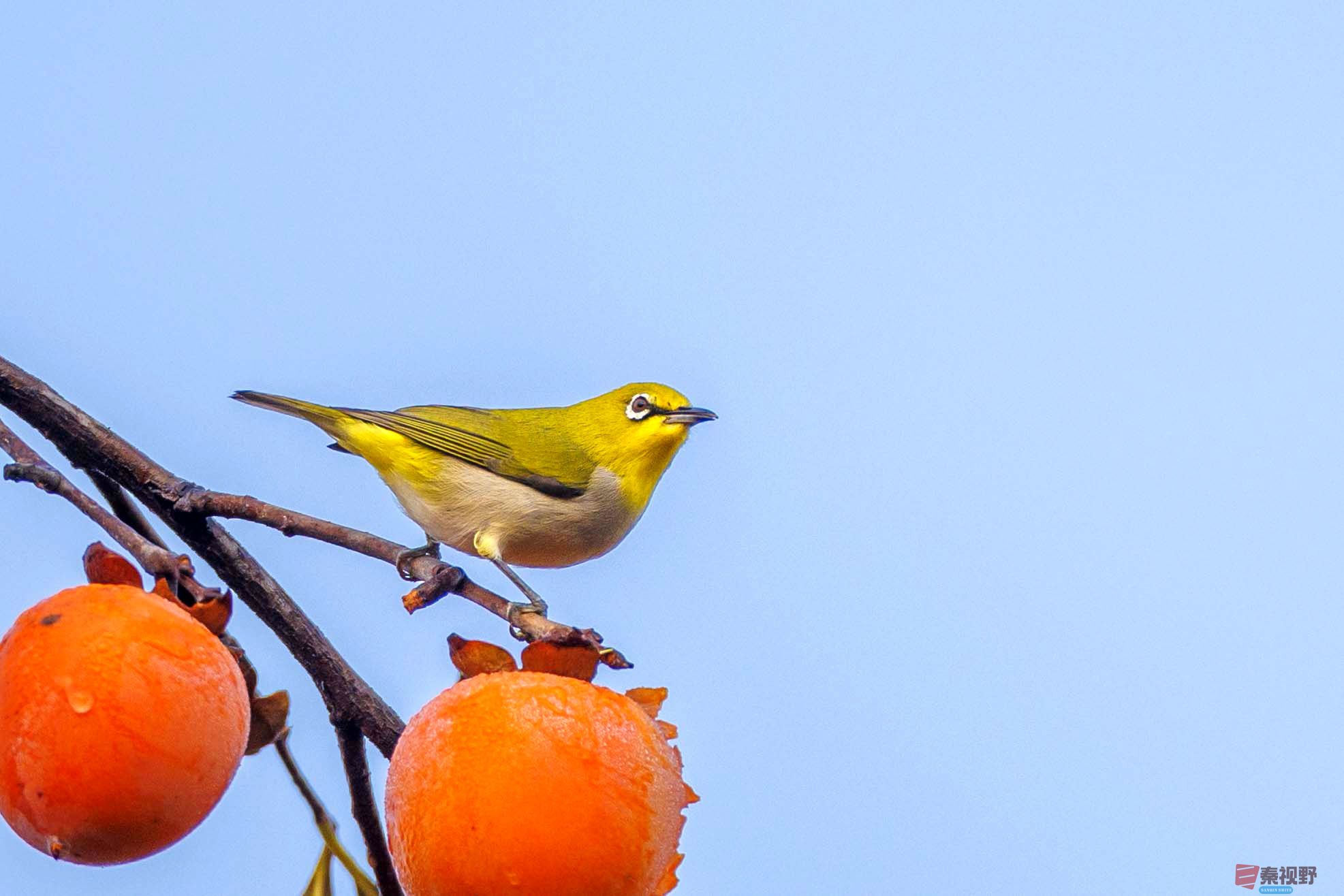 张永平_20251031222806 (1).jpg