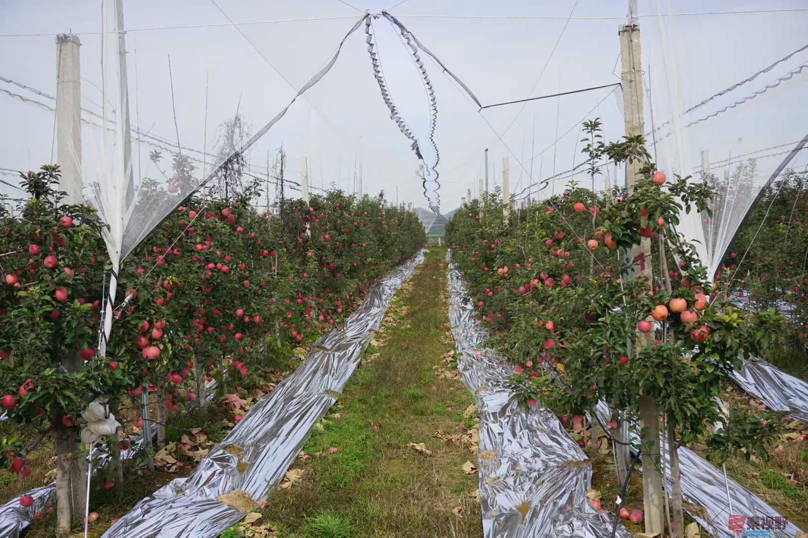 孙宏伟_20251031224224 (13).jpg