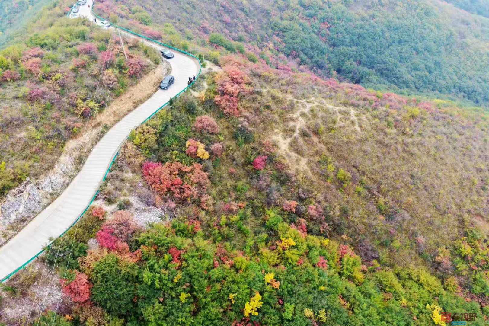 吕炳全_20251031230845 (1).jpg