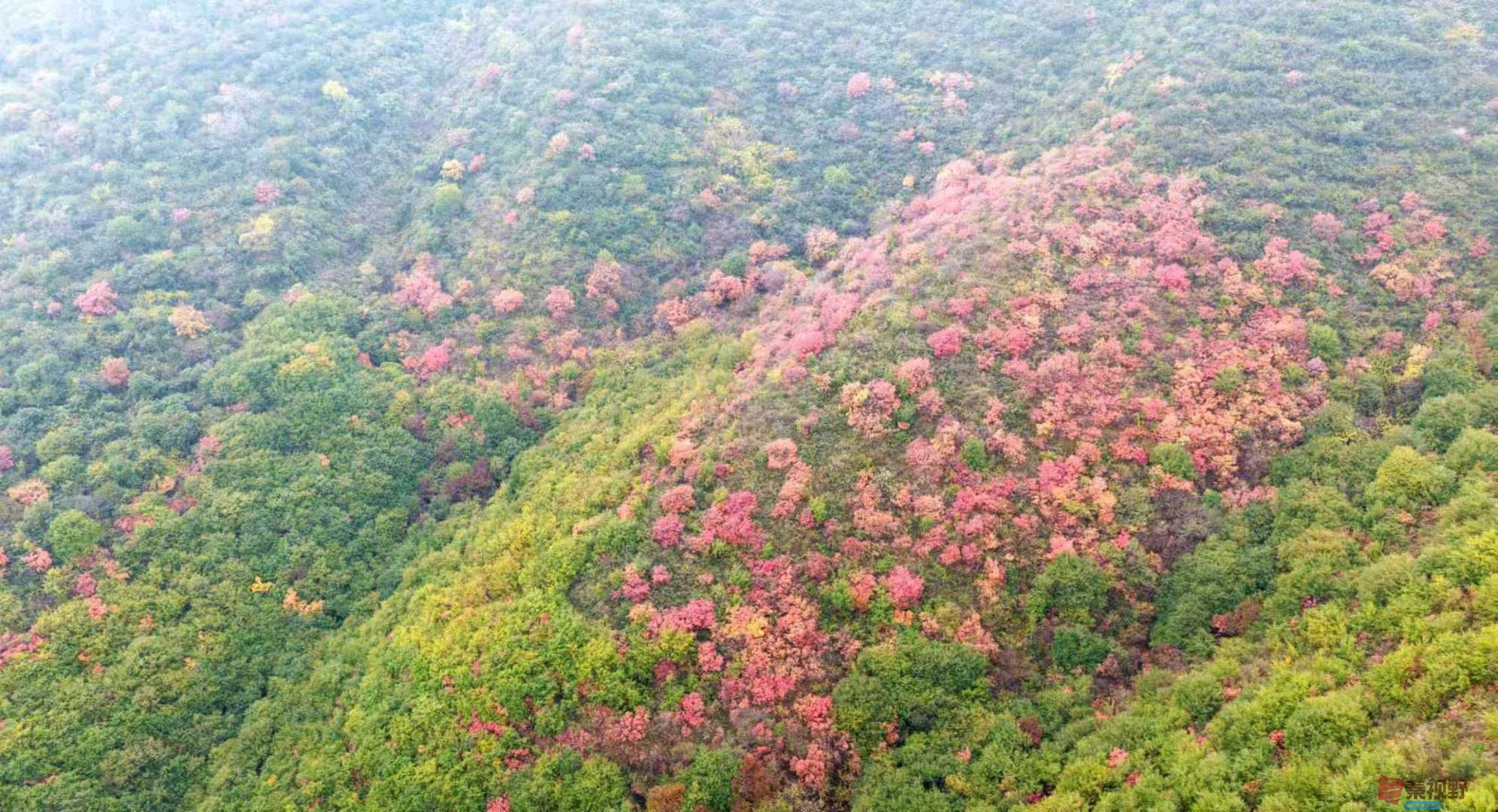 吕炳全_20251031230845 (2).jpg