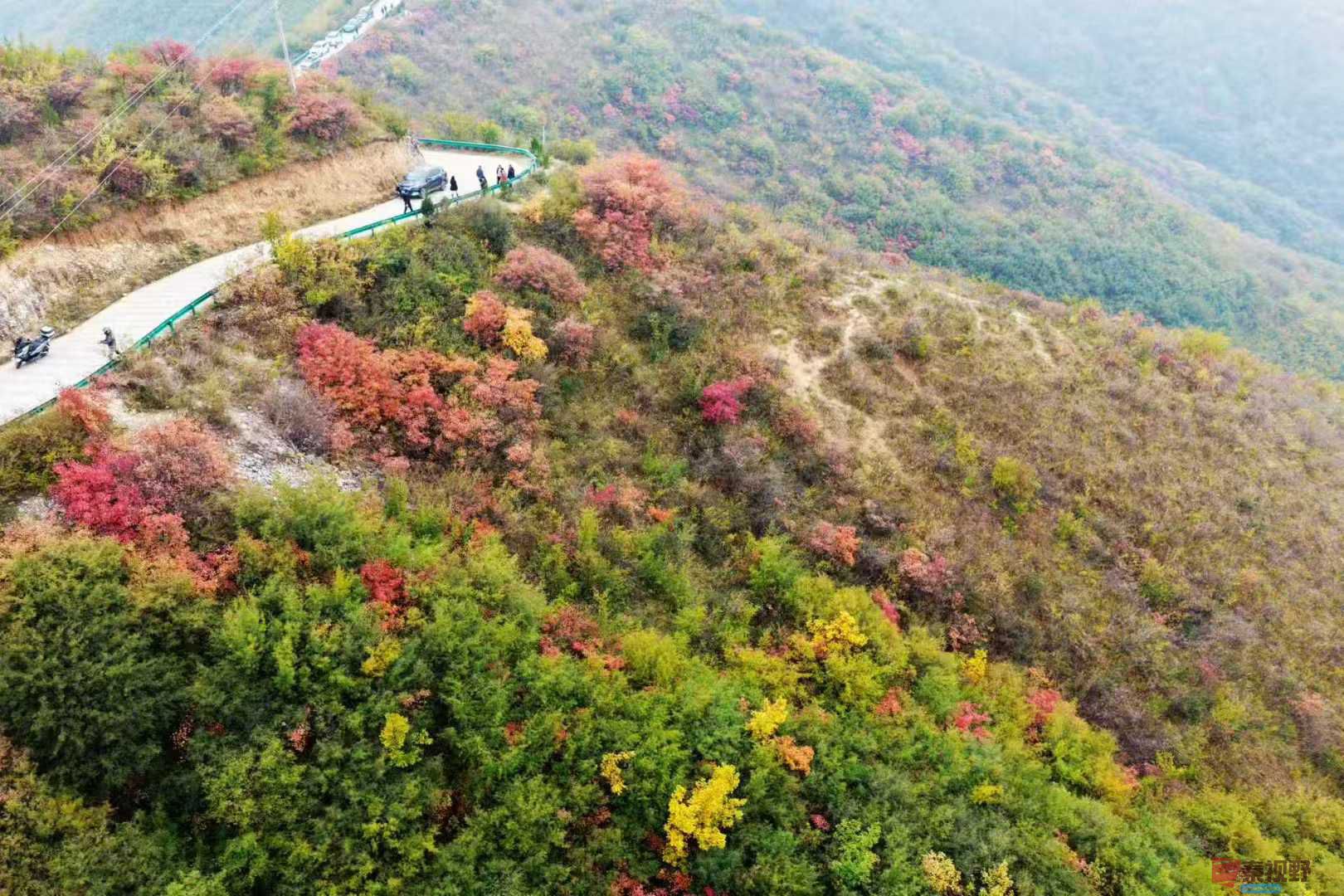 吕炳全_20251031230845 (5).jpg