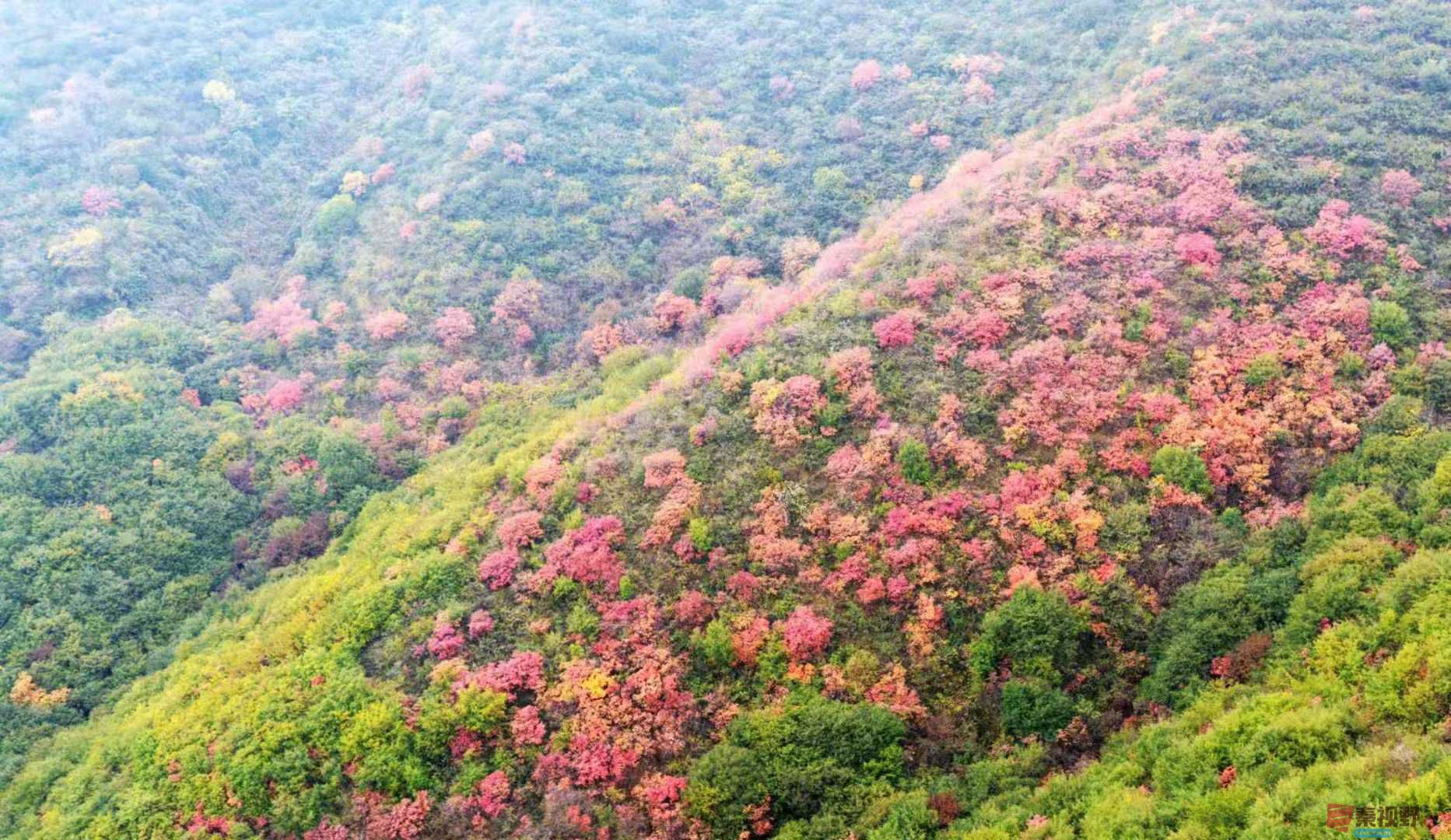 吕炳全_20251031230845 (8).jpg