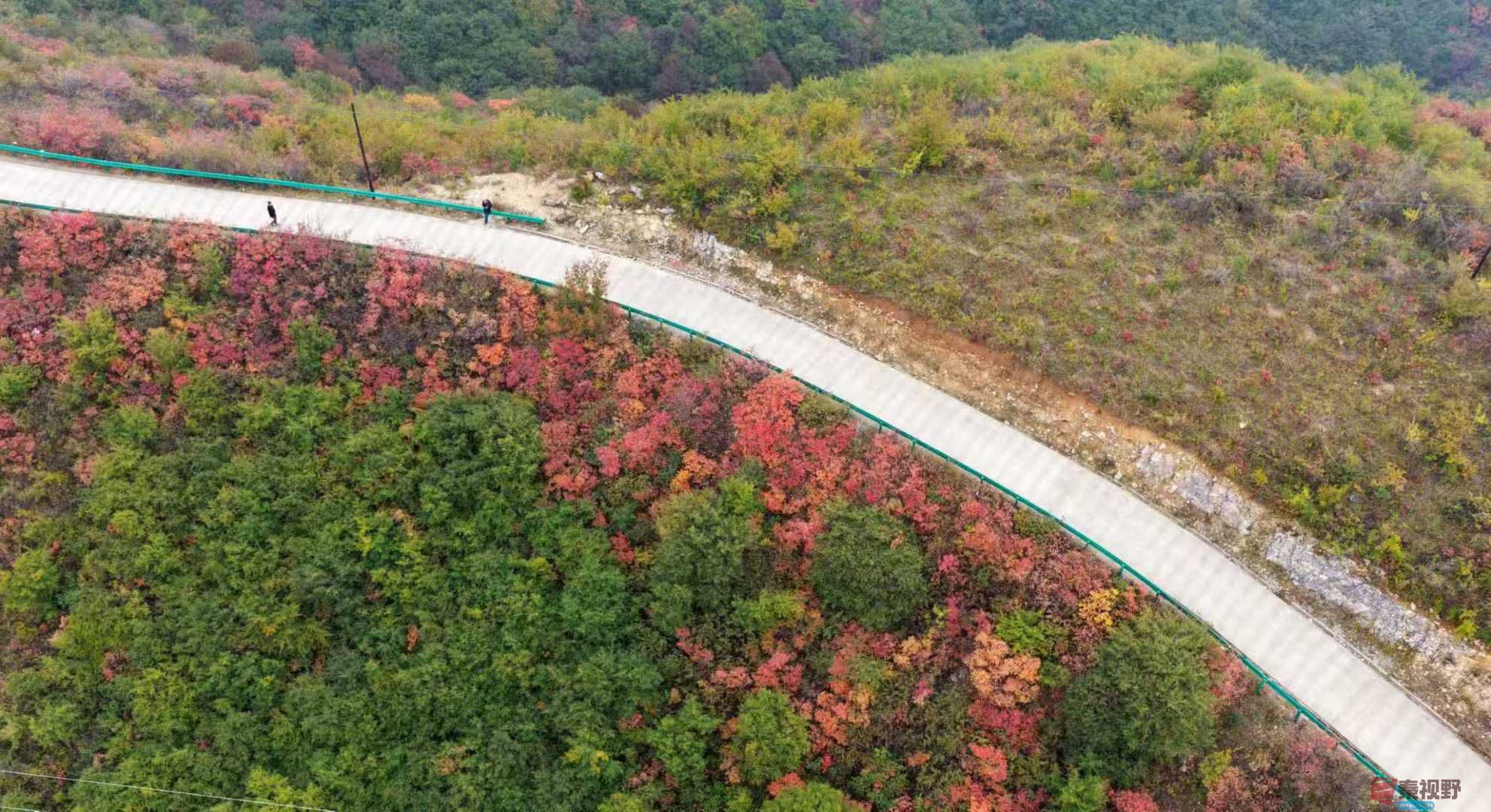 吕炳全_20251031230845 (7).jpg