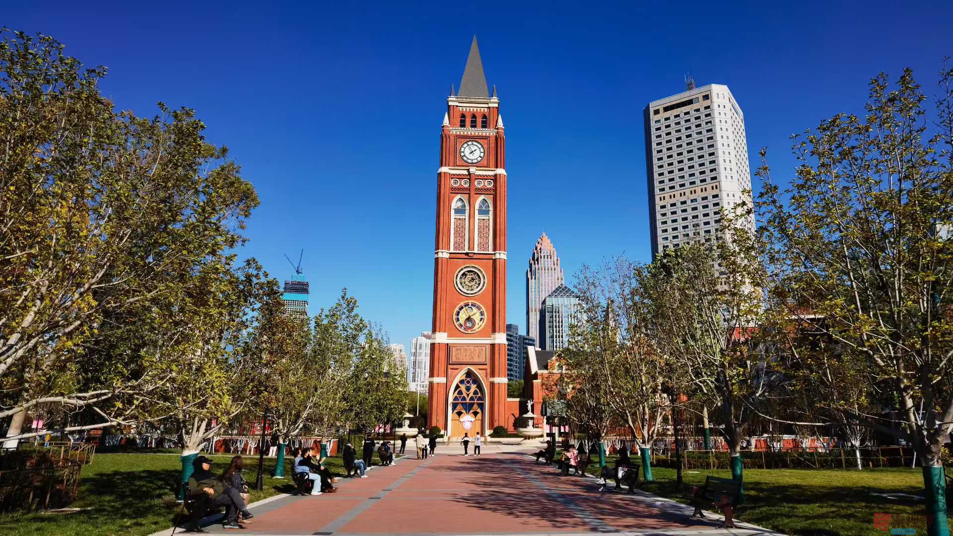 马世国_20251031225511 (7).jpg