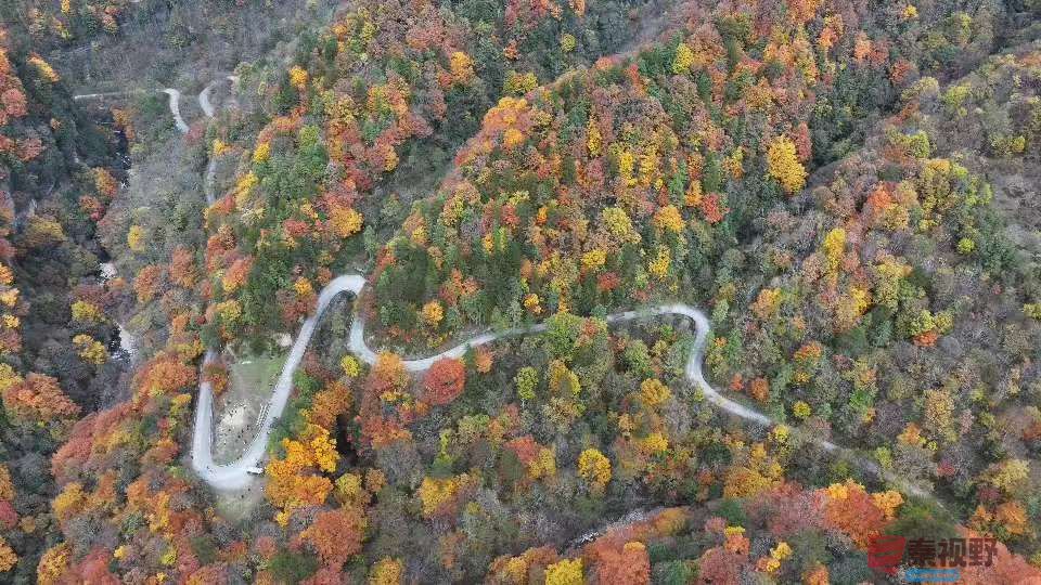 张宝光汉中黎坪景区_20251102160431_1957_104 (4).jpg