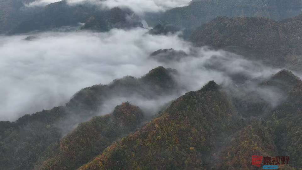 张宝光汉中黎坪景区_20251102160431_1957_104 (1).jpg