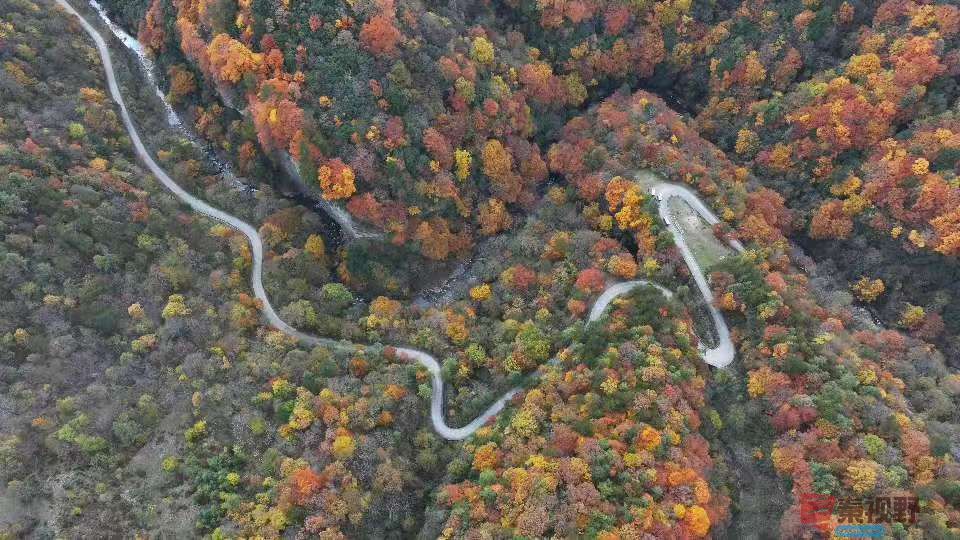 张宝光汉中黎坪景区_20251102160431_1957_104 (3).jpg