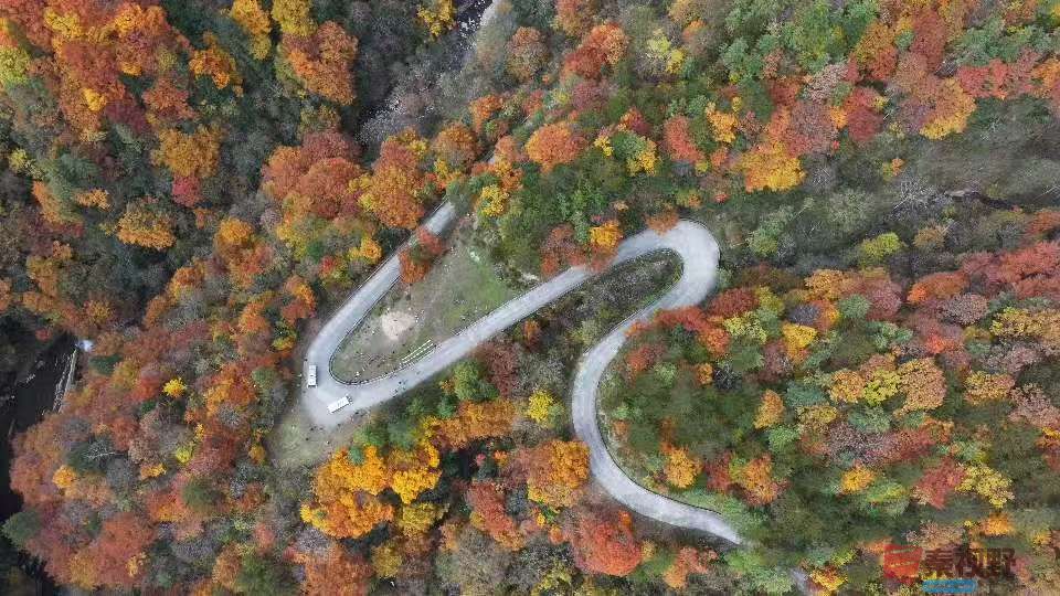 张宝光汉中黎坪景区_20251102160431_1957_104 (5).jpg