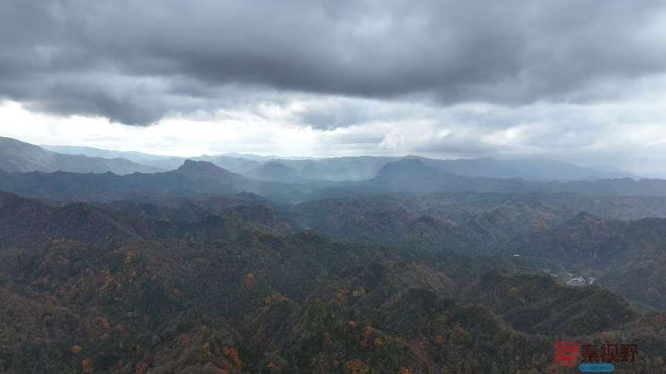 张宝光汉中黎坪景区_20251102160431_1957_104 (8).jpg