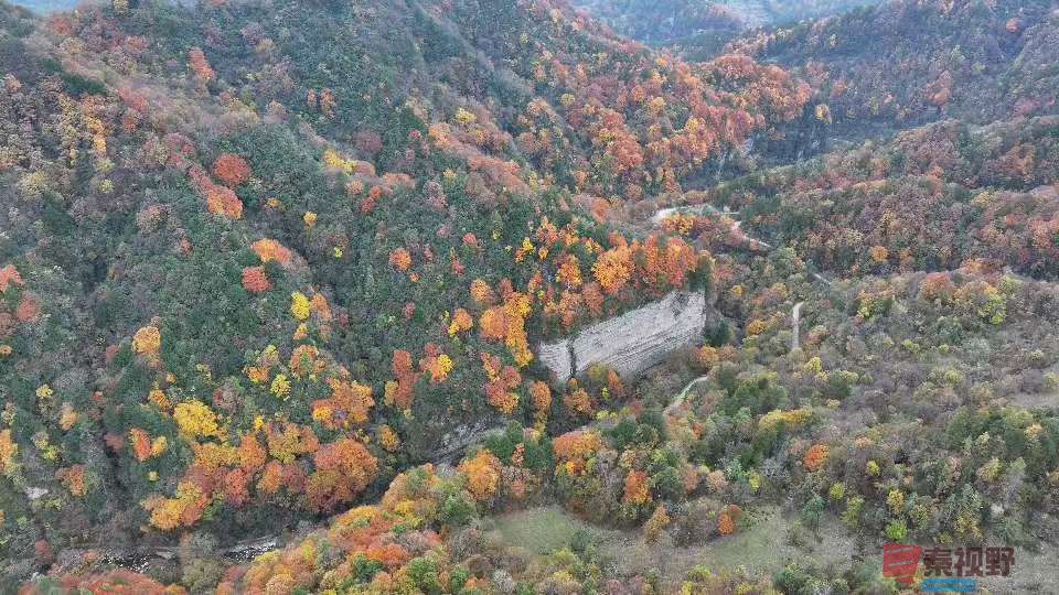 张宝光汉中黎坪景区_20251102160431_1957_104 (10).jpg