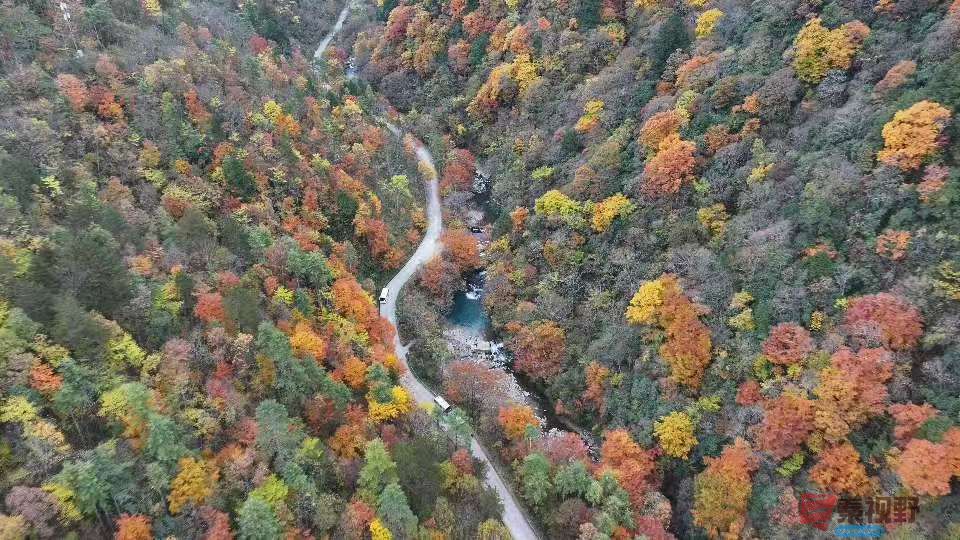 张宝光汉中黎坪景区_20251102160431_1957_104 (11).jpg