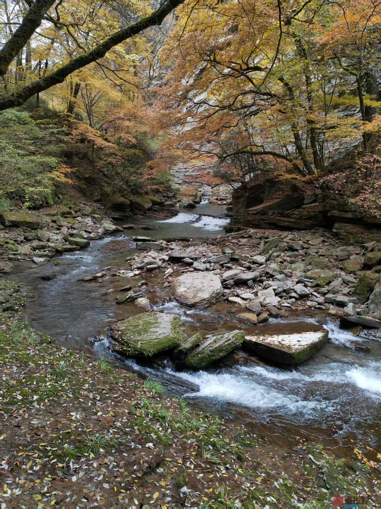 汉中黎坪景区【张宝光】
