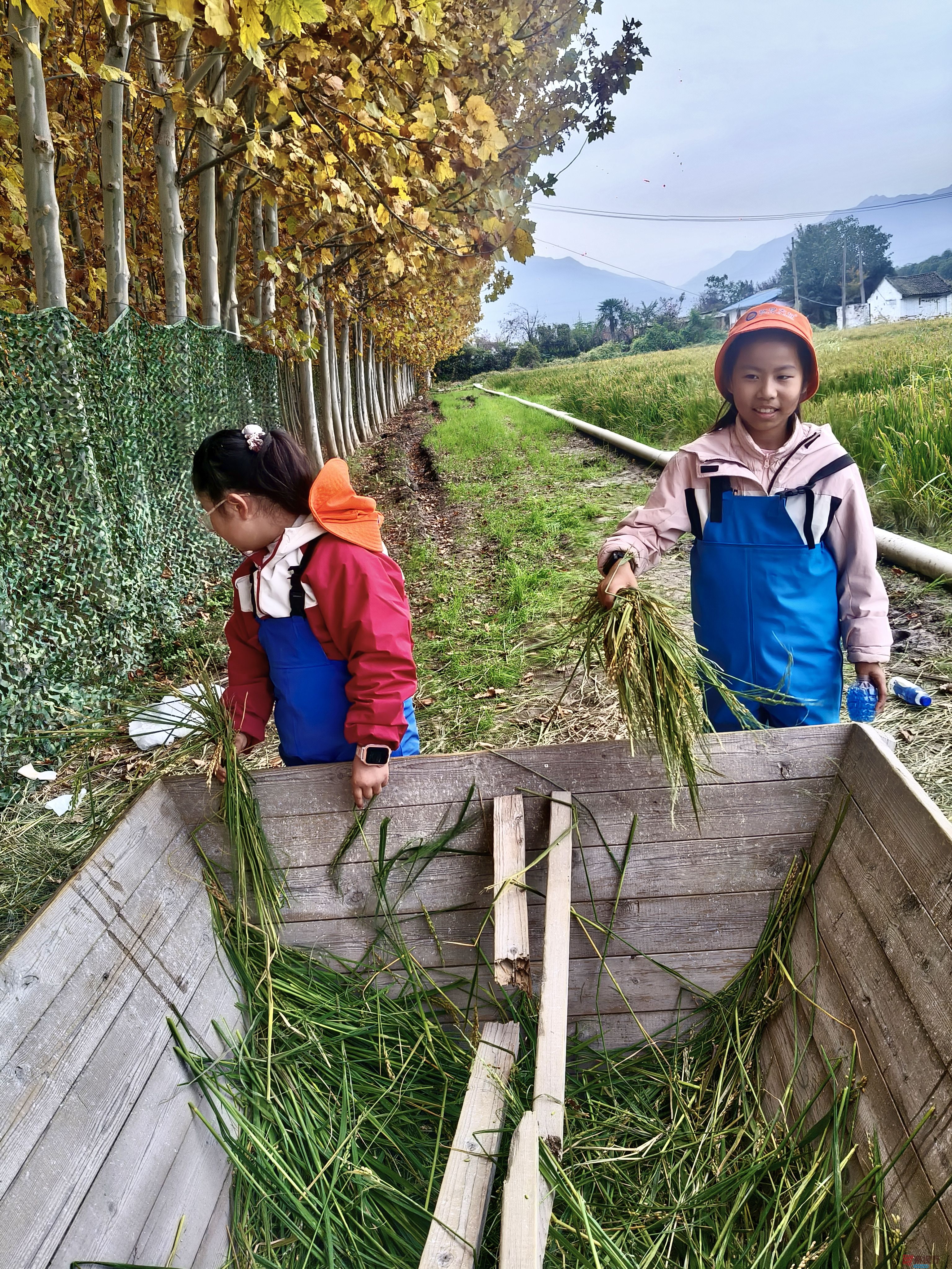 任周民_20251102165424_68_1551 (4).jpg