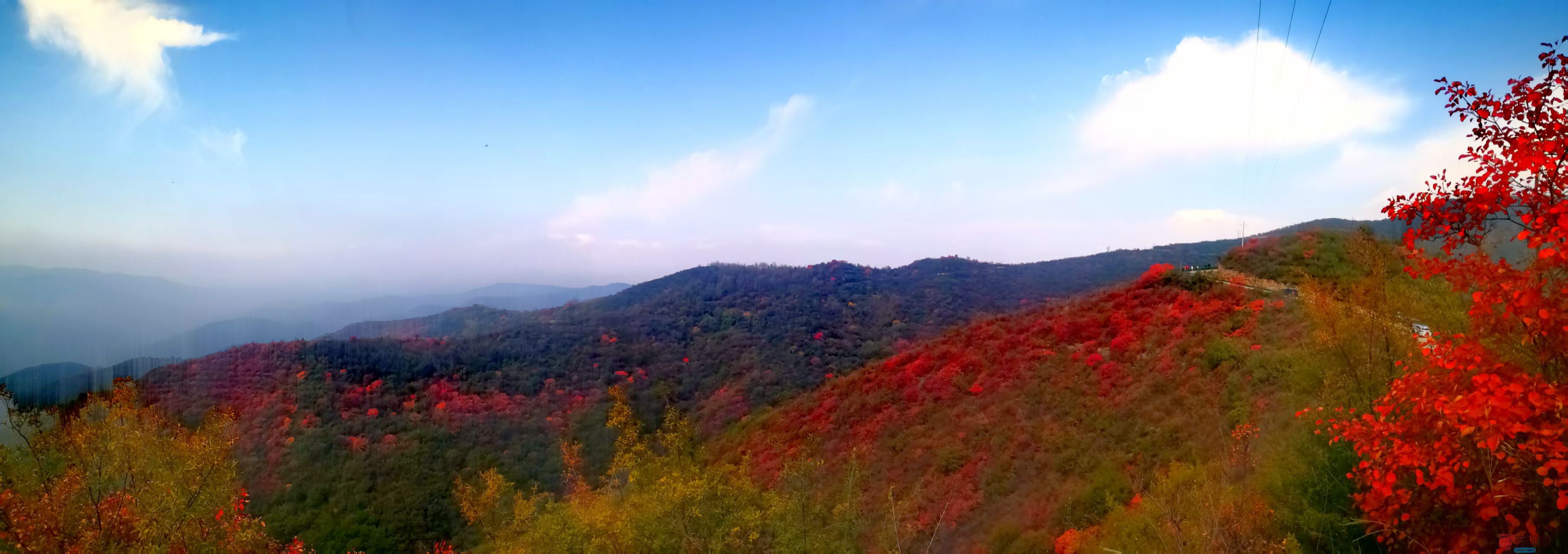 李雪平富平赵老峪秋色尽染！_20251101204543_388_47 (1).jpg