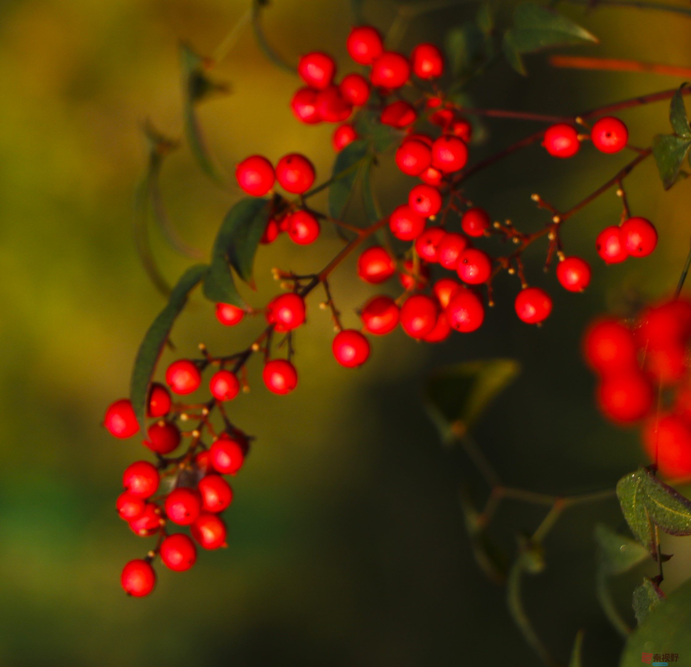 王顺利_20251102073611_1933_104 (4).jpg