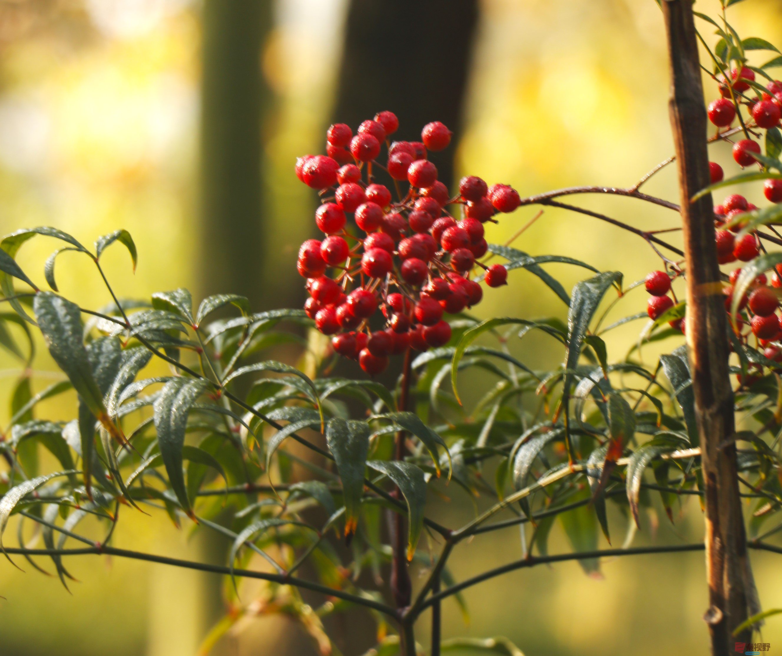 王顺利_20251102073611_1933_104 (6).jpg