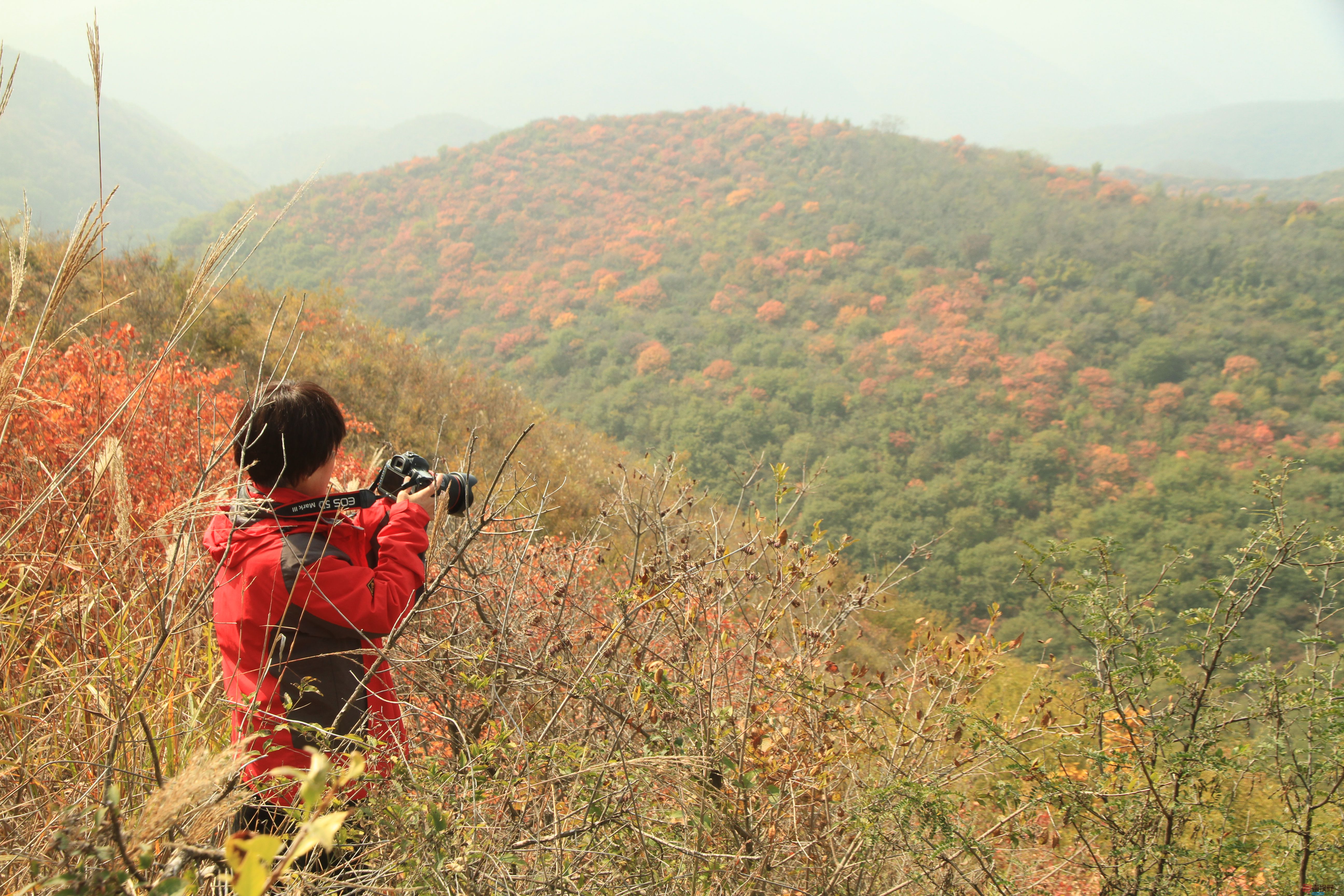 伍卸凤_20251103093738_2646_463 (4).jpg