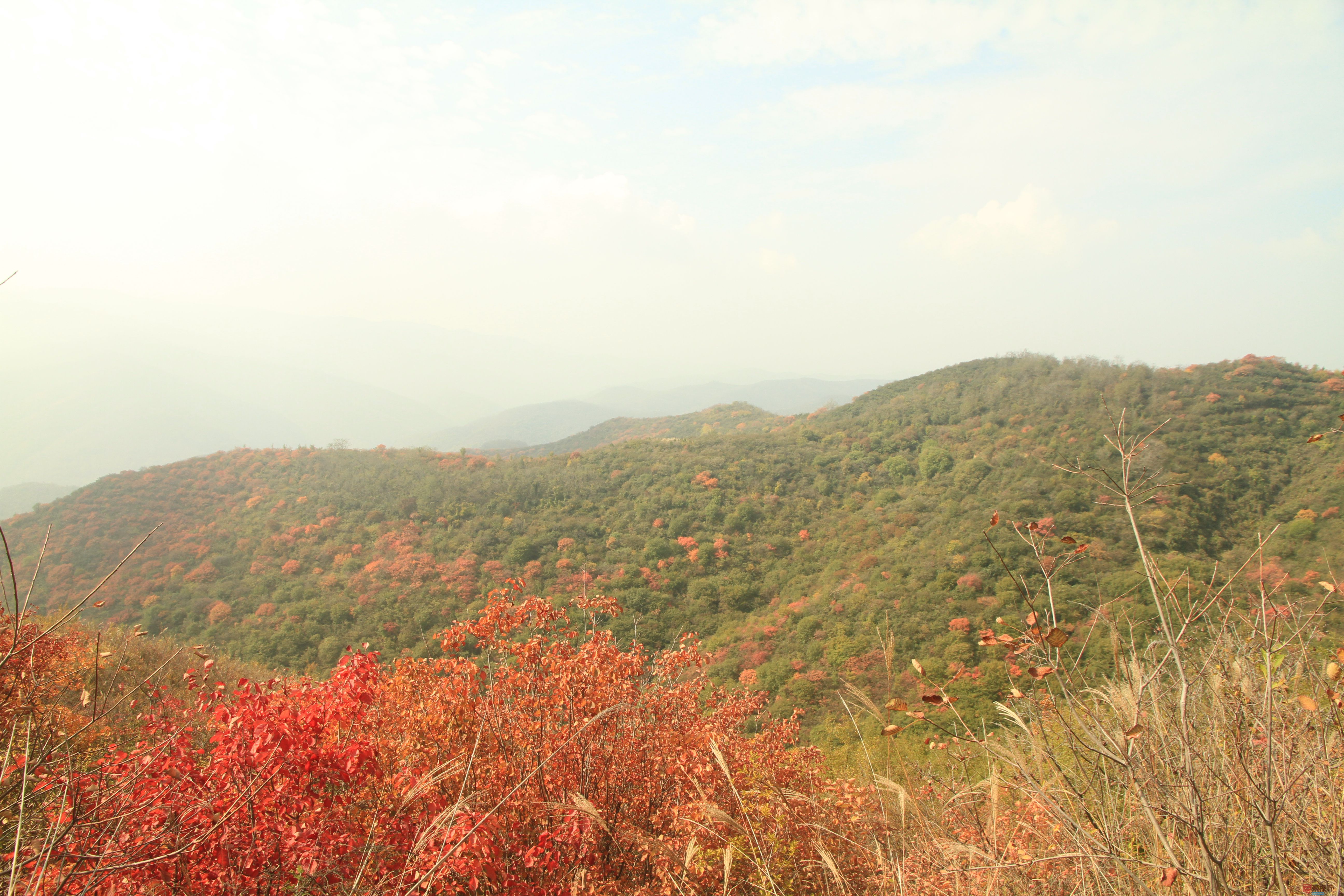 伍卸凤_20251103093738_2646_463 (5).jpg