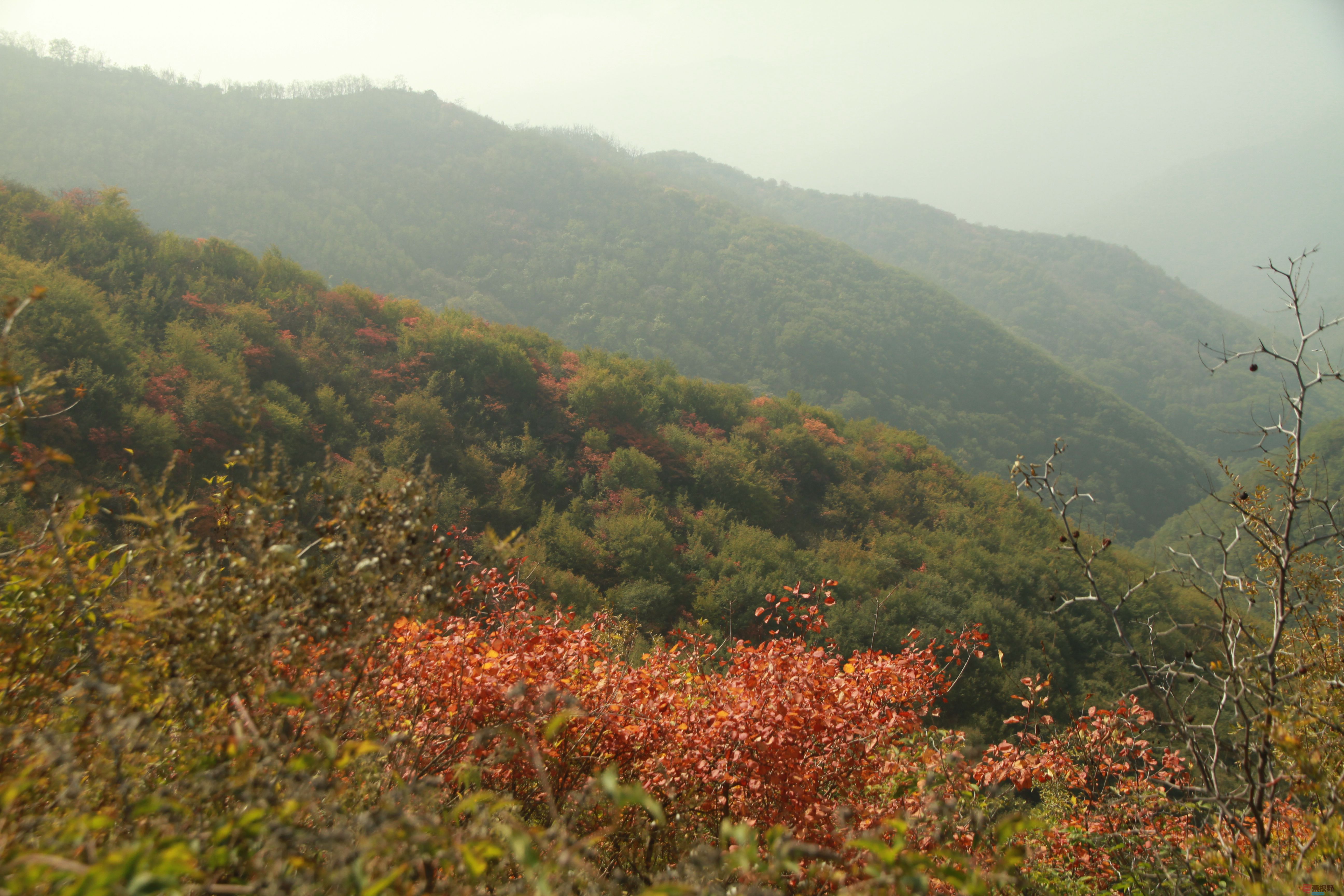 伍卸凤_20251103093738_2646_463 (6).jpg