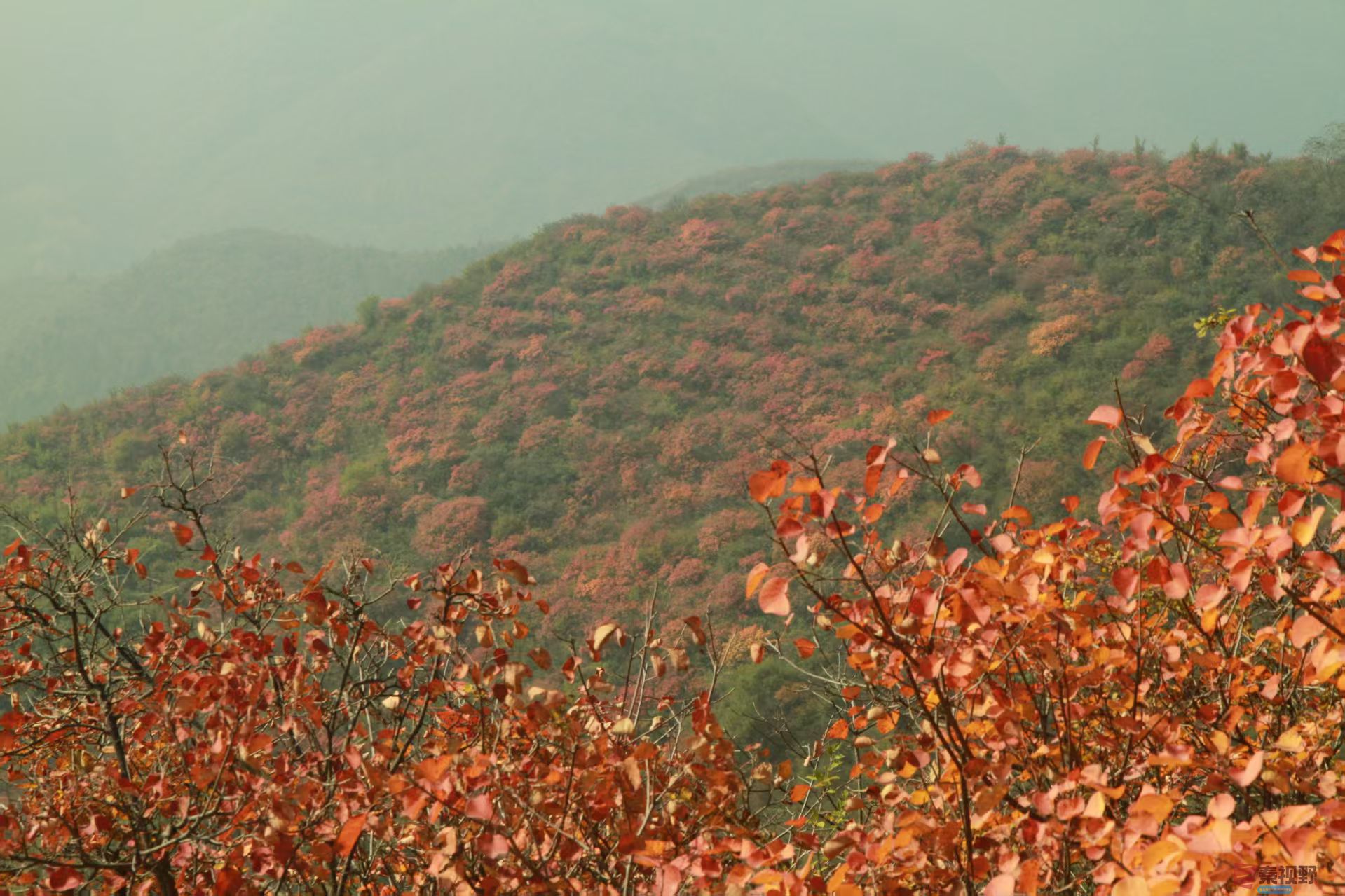 伍卸凤_20251103093738_2646_463 (9).jpg