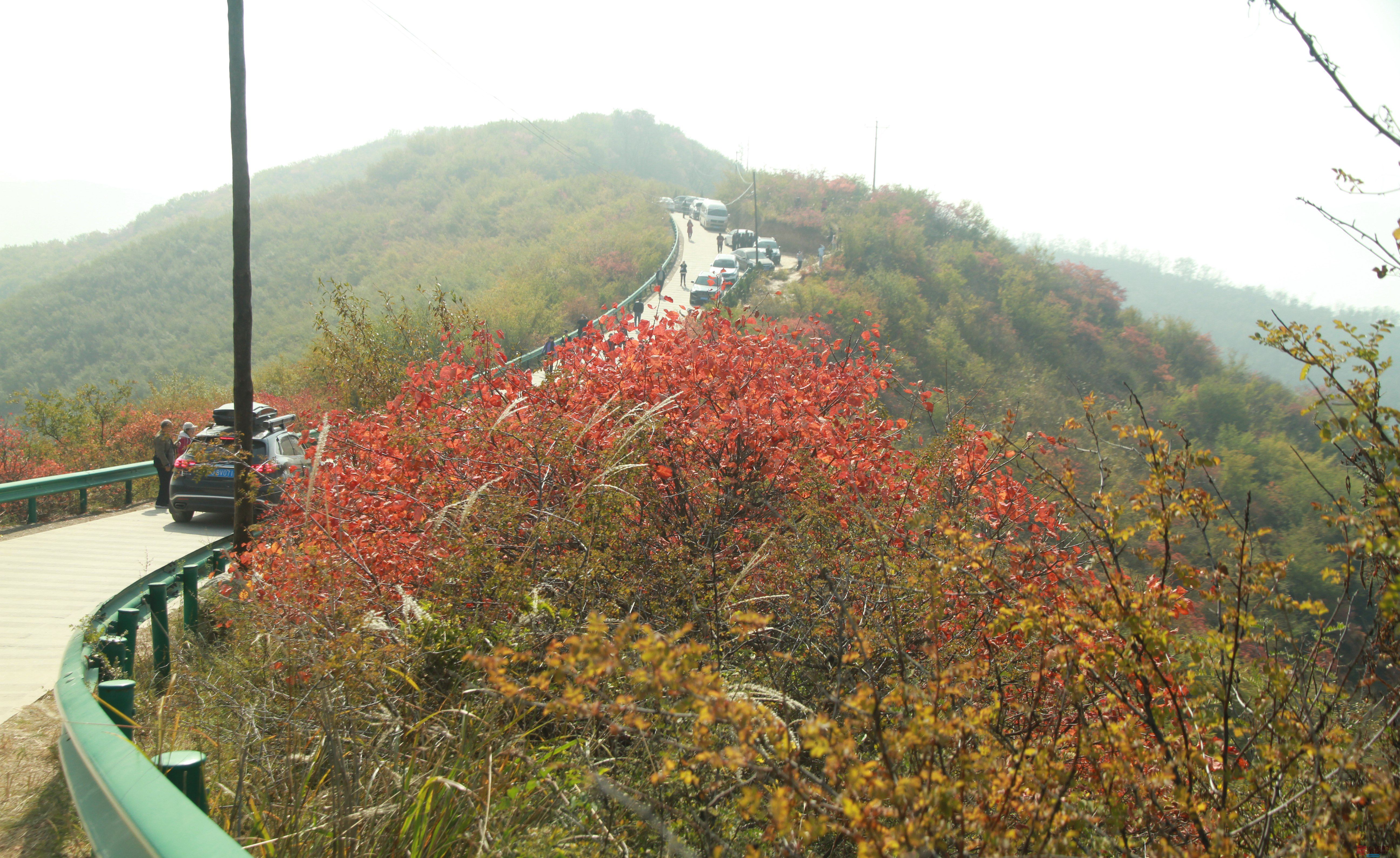 伍卸凤_20251103093738_2646_463 (3).jpg