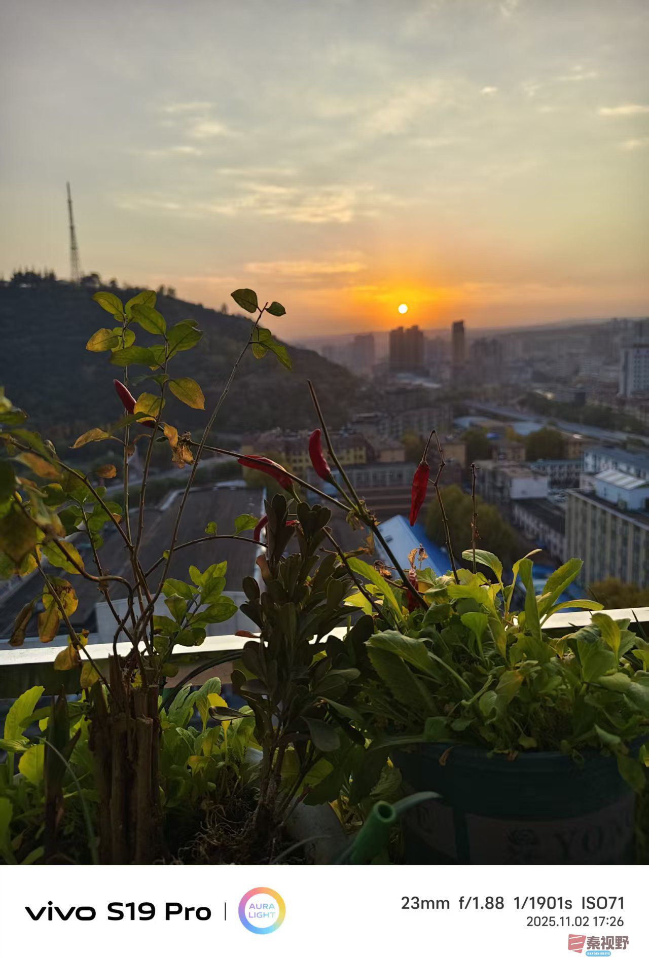 王彦娣_20251103004946_2637_463 (2).jpg