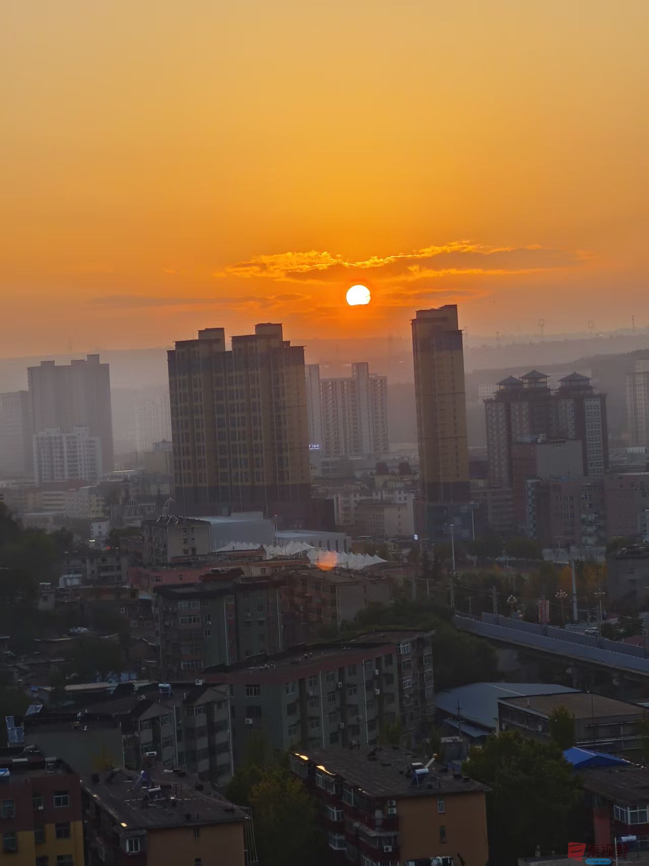 王彦娣_20251103004946_2637_463 (5).jpg