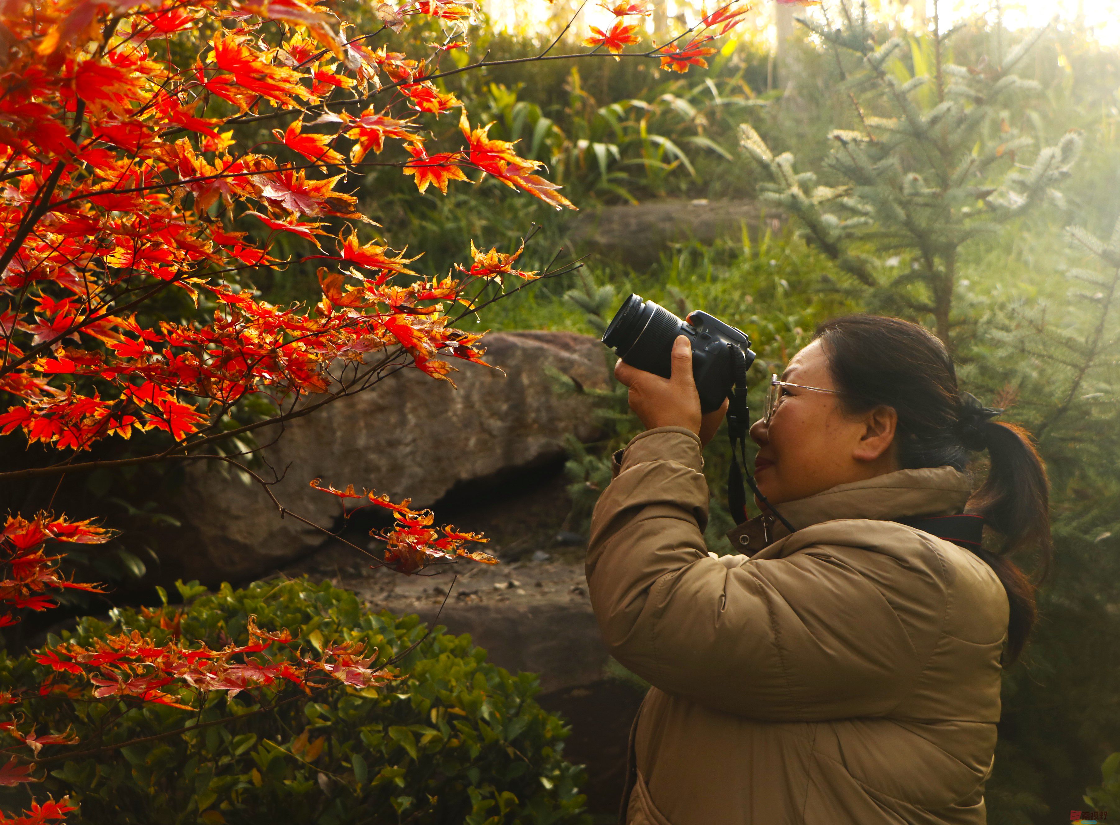 王顺利_20251102210136_2625_463 (4).jpg