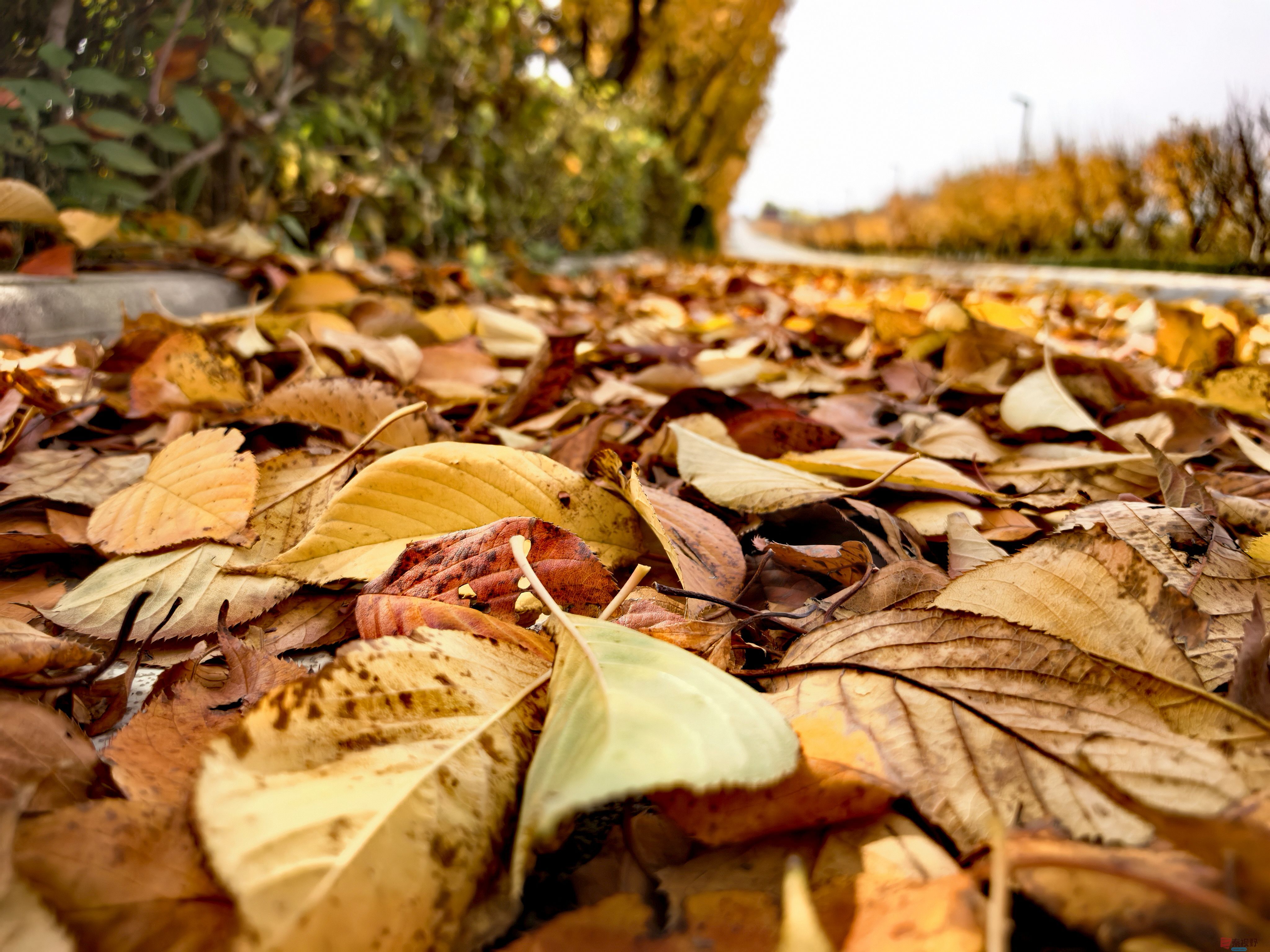 刘孝文_20251103154155_2680_463 (7).jpg