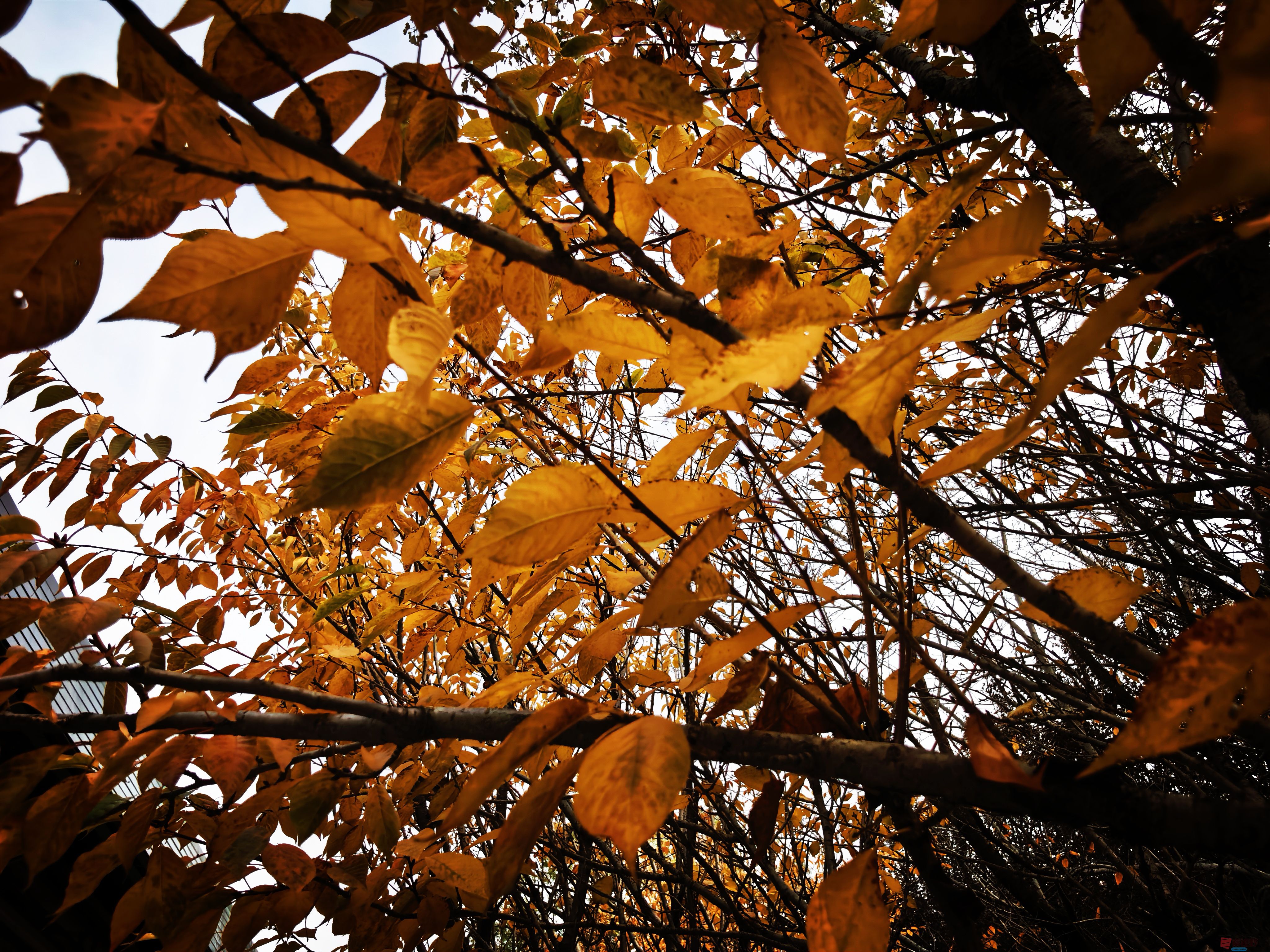 刘孝文_20251103154155_2680_463 (8).jpg