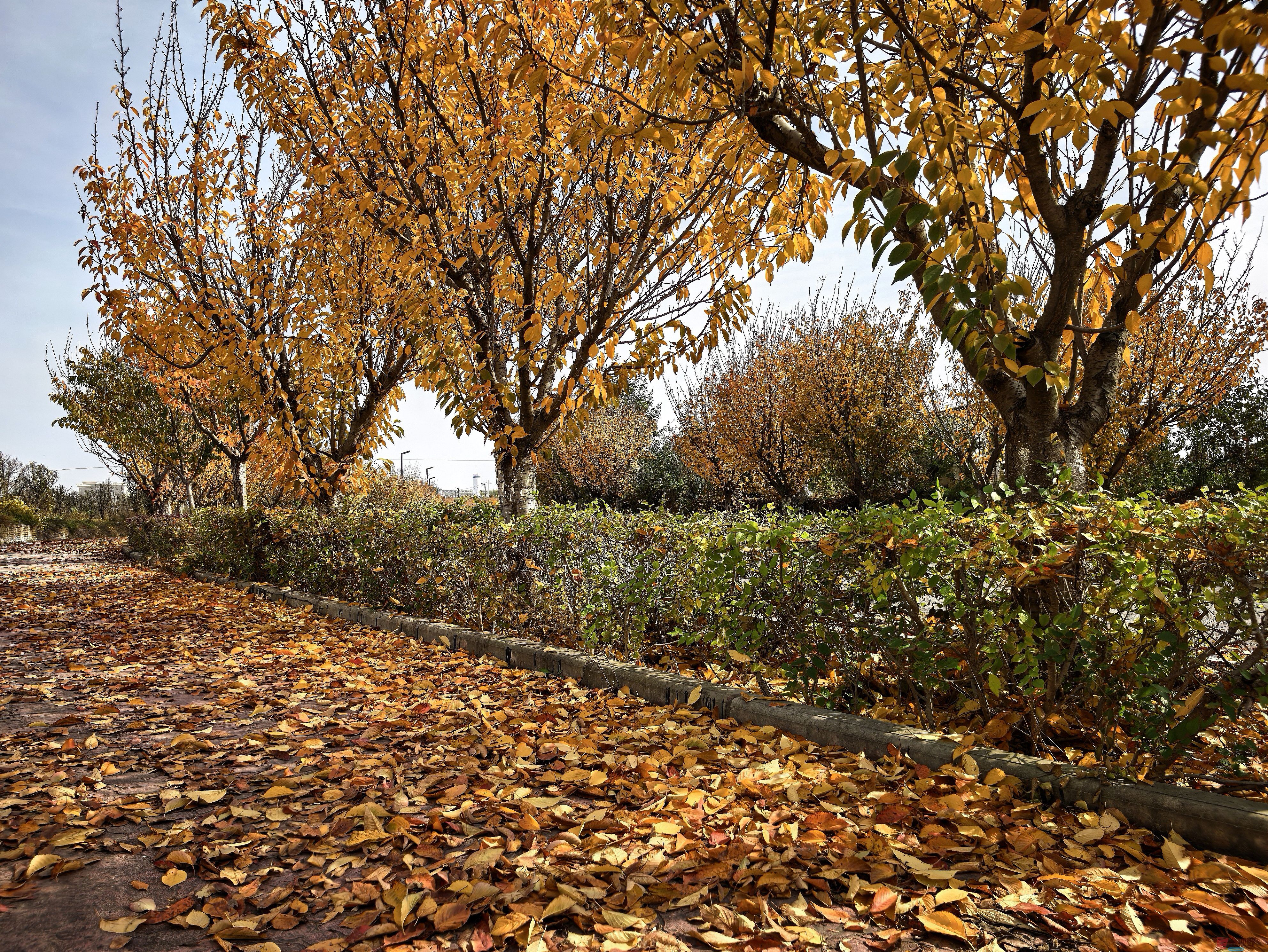 刘孝文_20251103154155_2680_463 (13).jpg