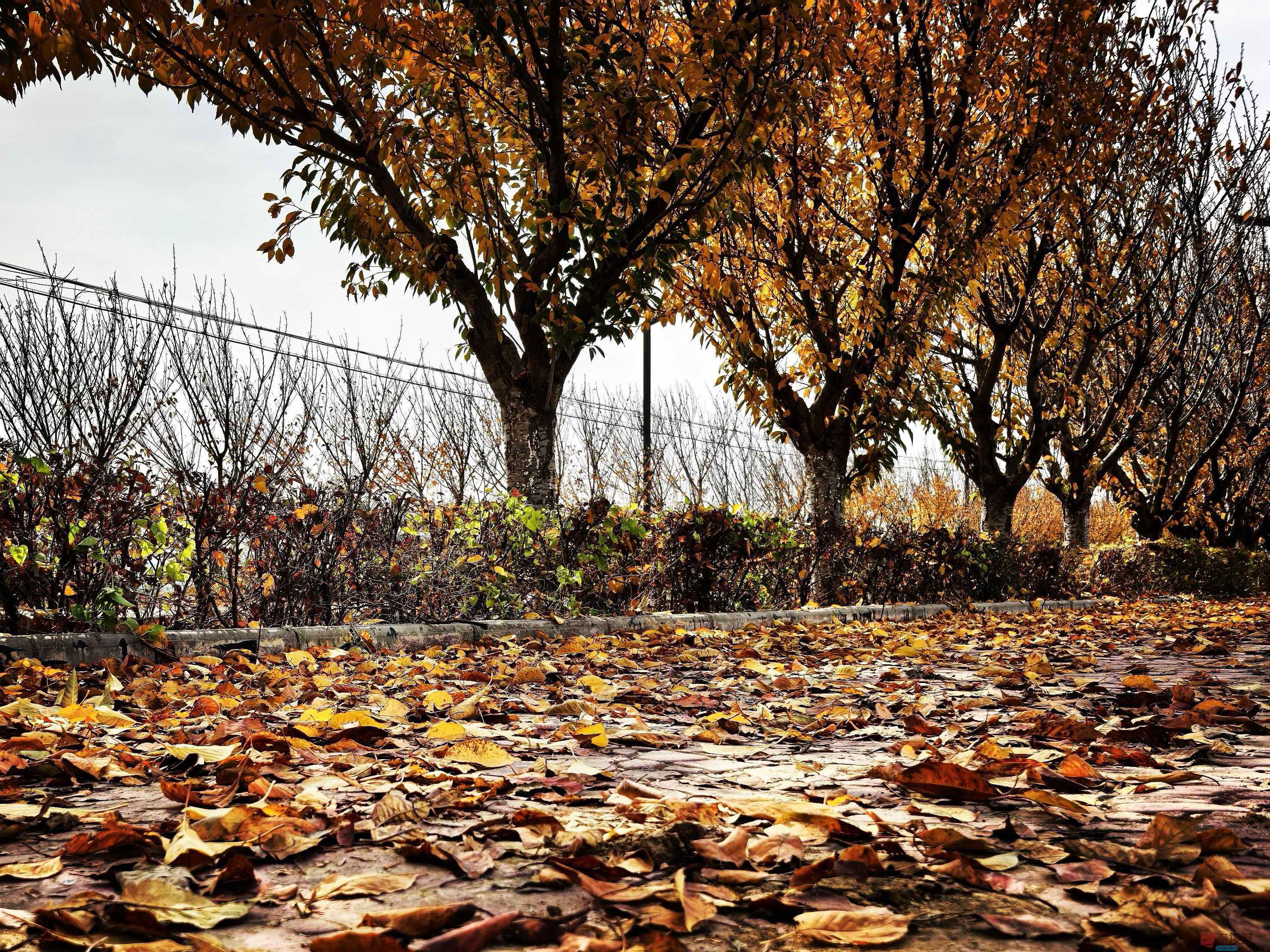 刘孝文_20251103154155_2680_463 (2).jpg