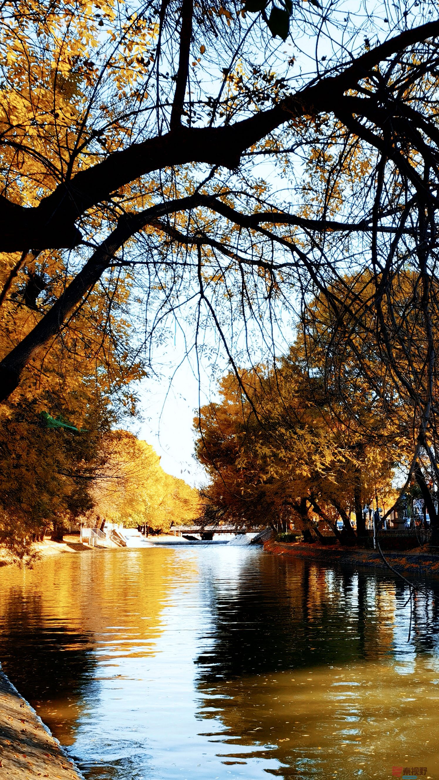 马世国_20251104122912_41_577 (1).jpg