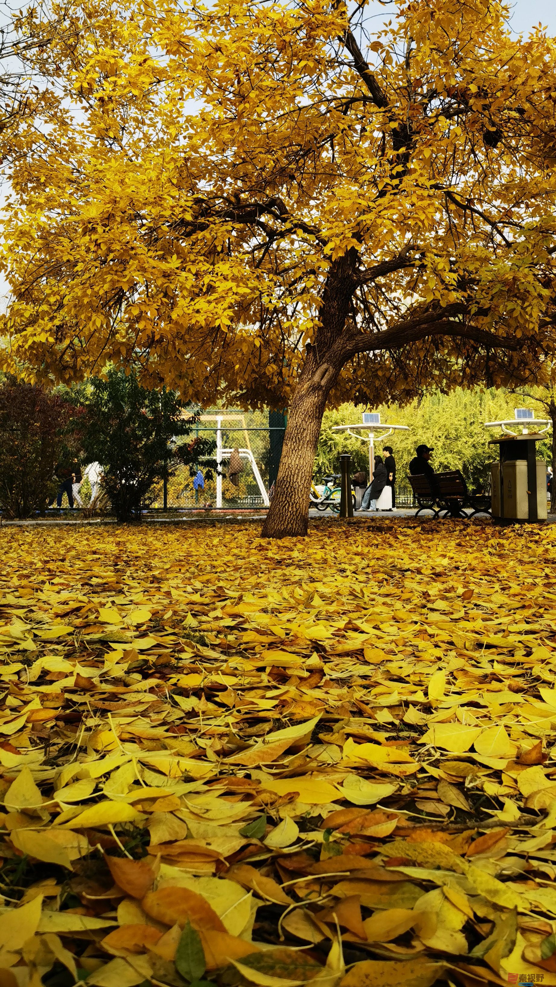 马世国_20251104122912_41_577 (8).jpg