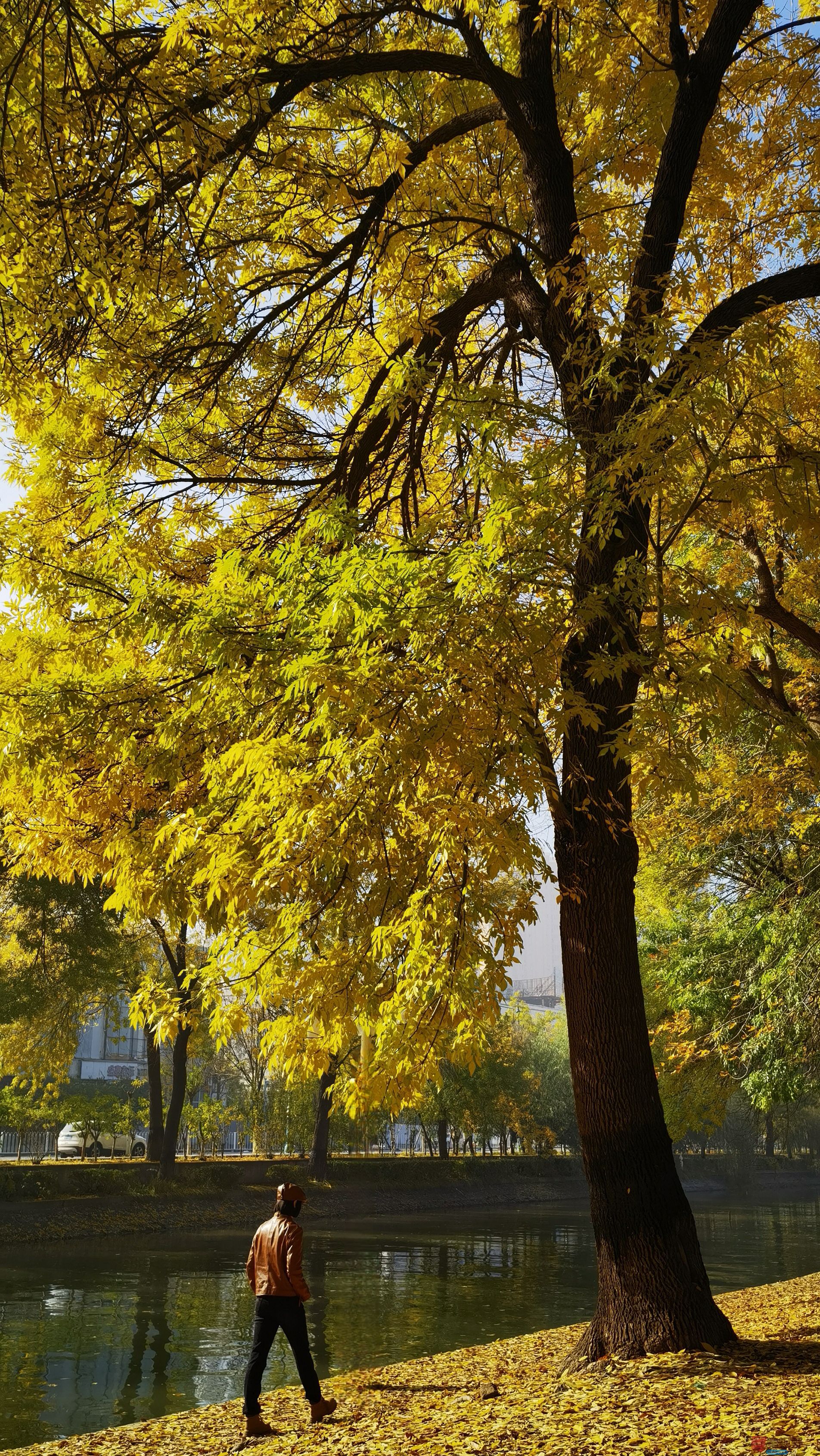 马世国_20251104122912_41_577 (9).jpg