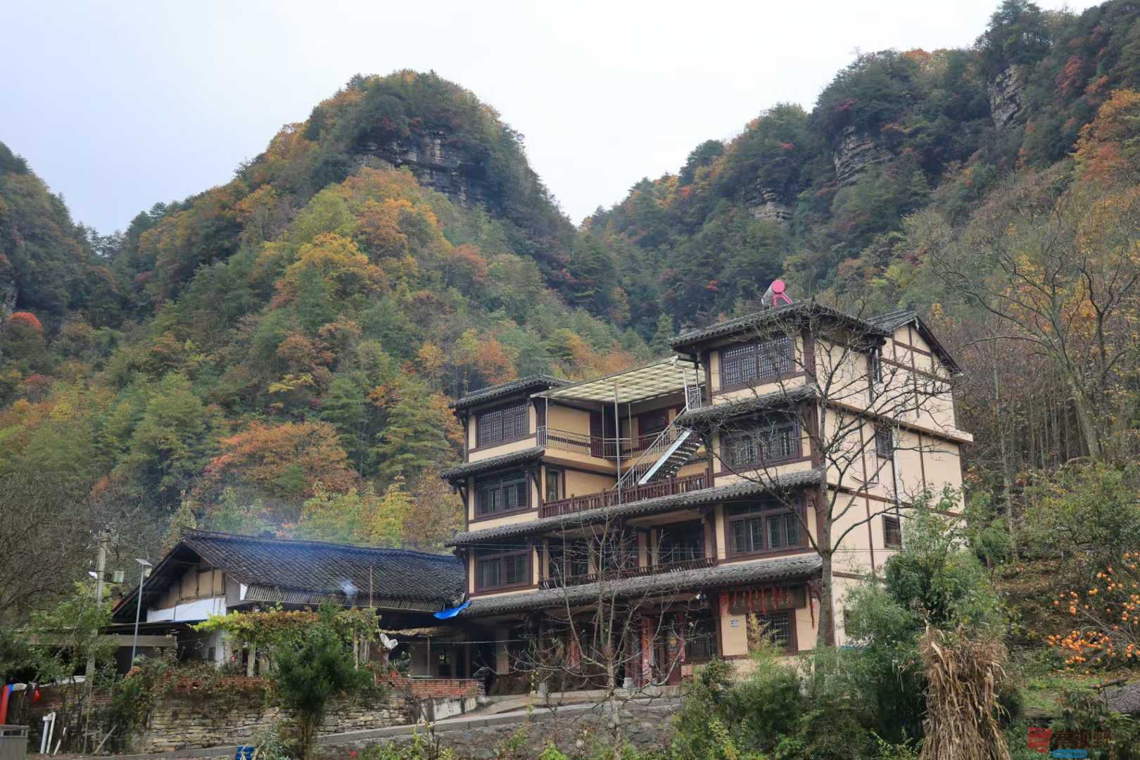 宋宝文_2025-11-05_153103_029 (4).jpg