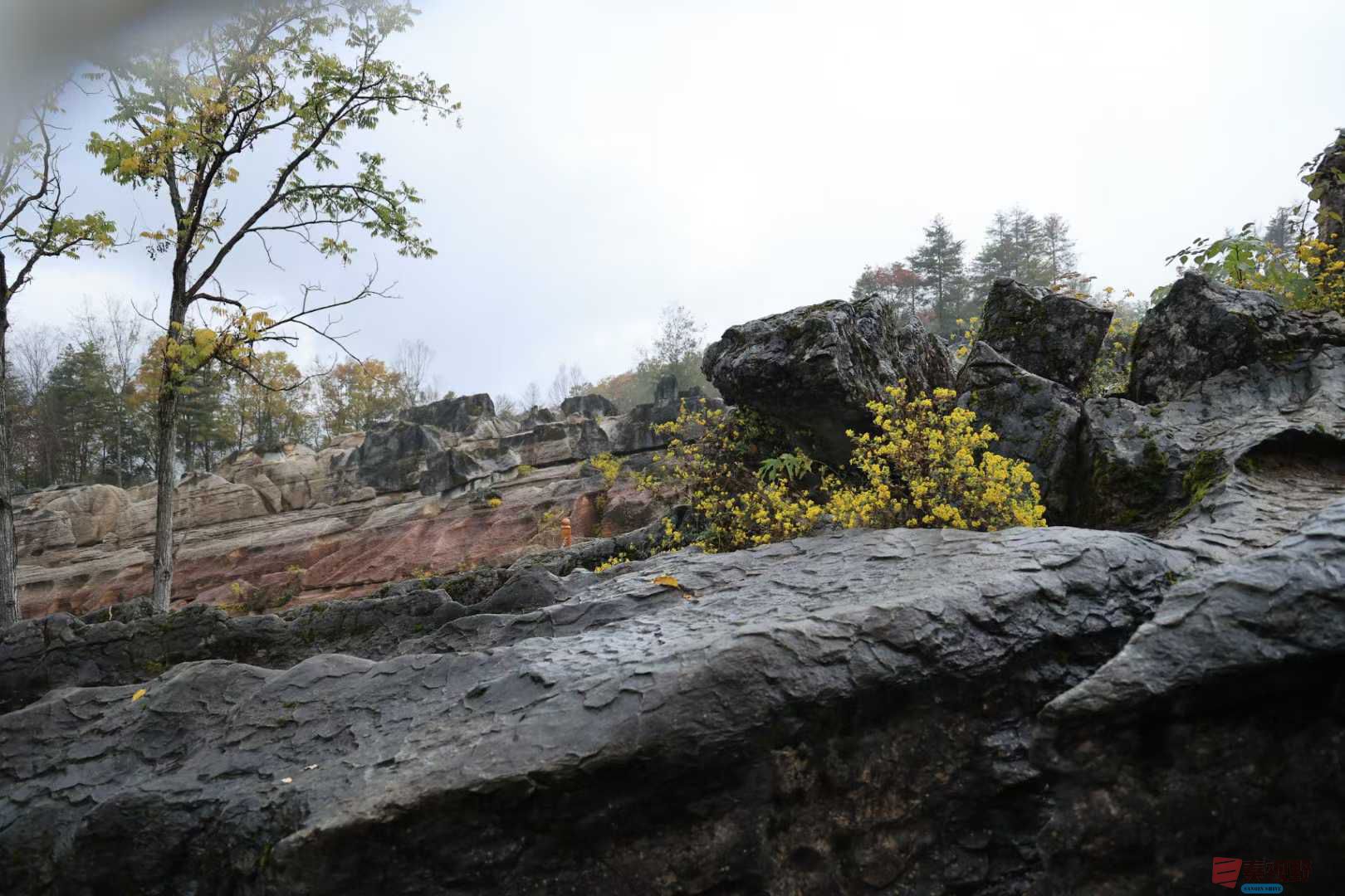 宋宝文_2025-11-05_153103_029 (6).jpg