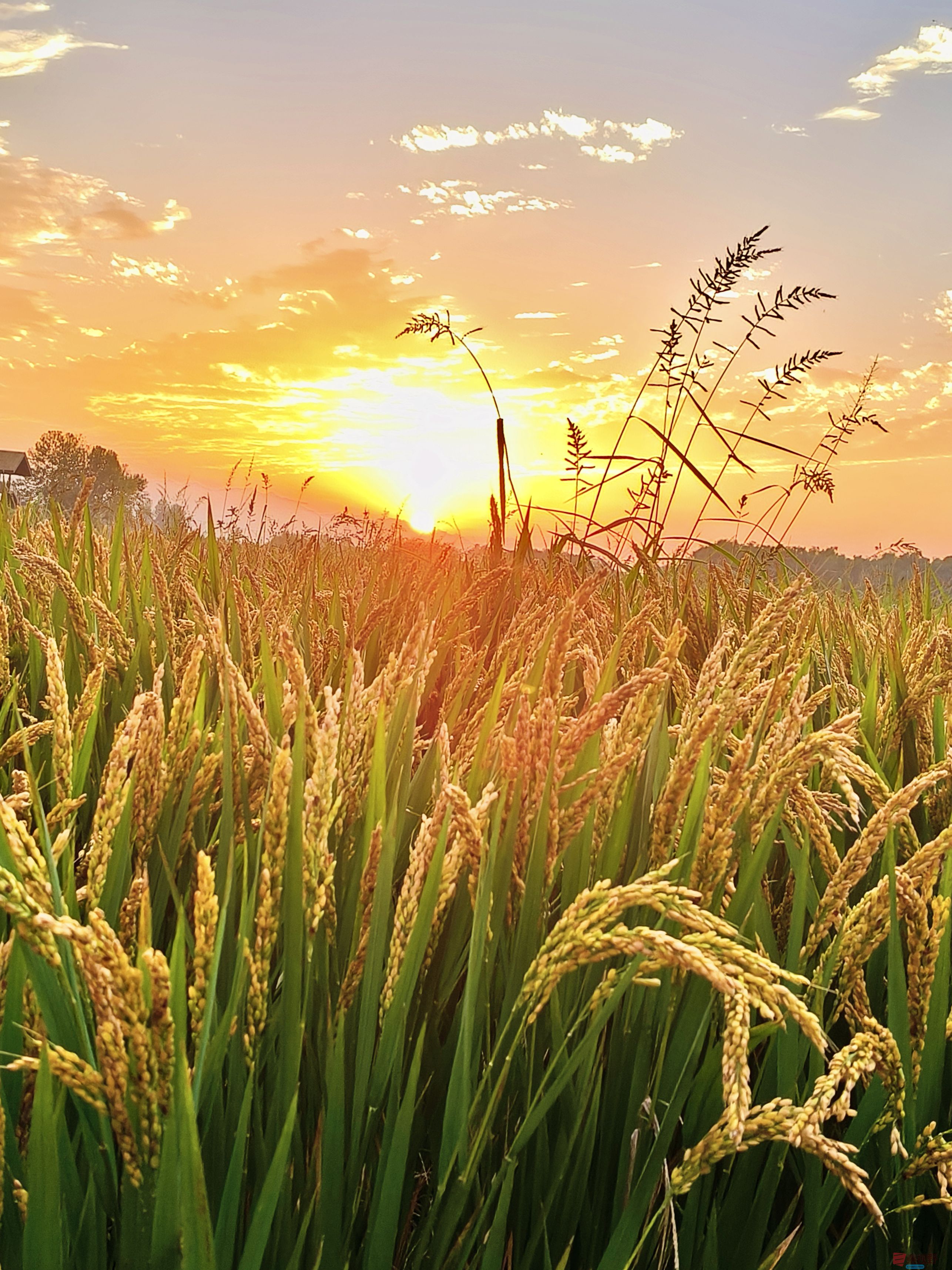 任周民_20251105161746_135_1580 (2).jpg