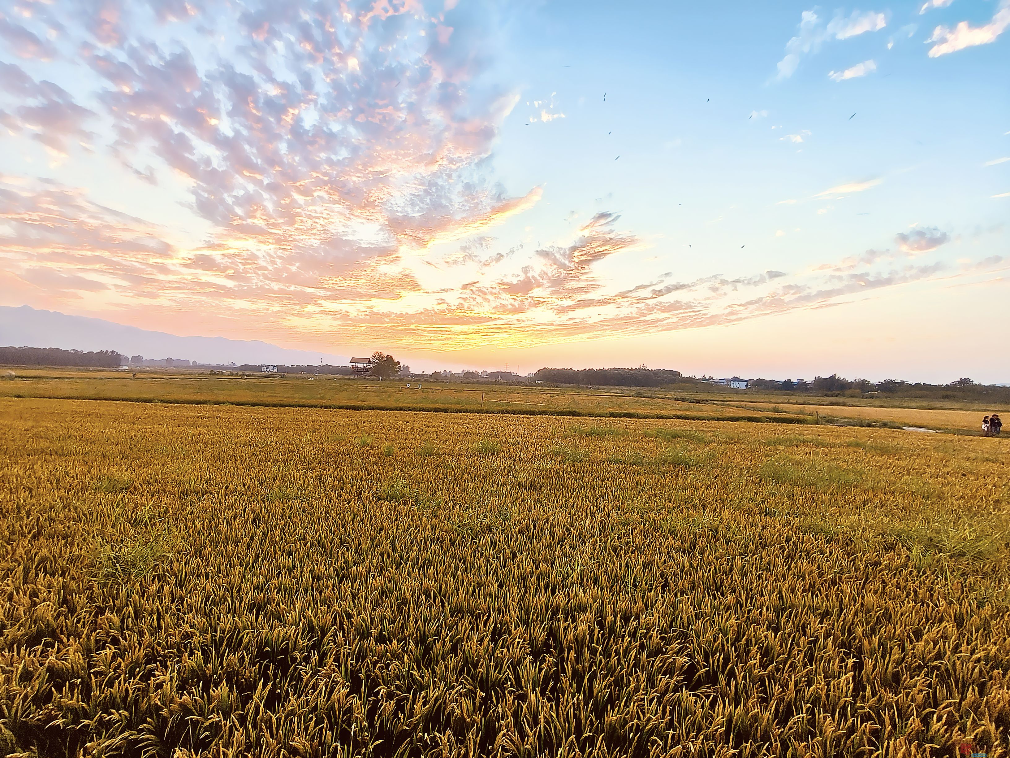 任周民_20251105161746_135_1580 (4).jpg