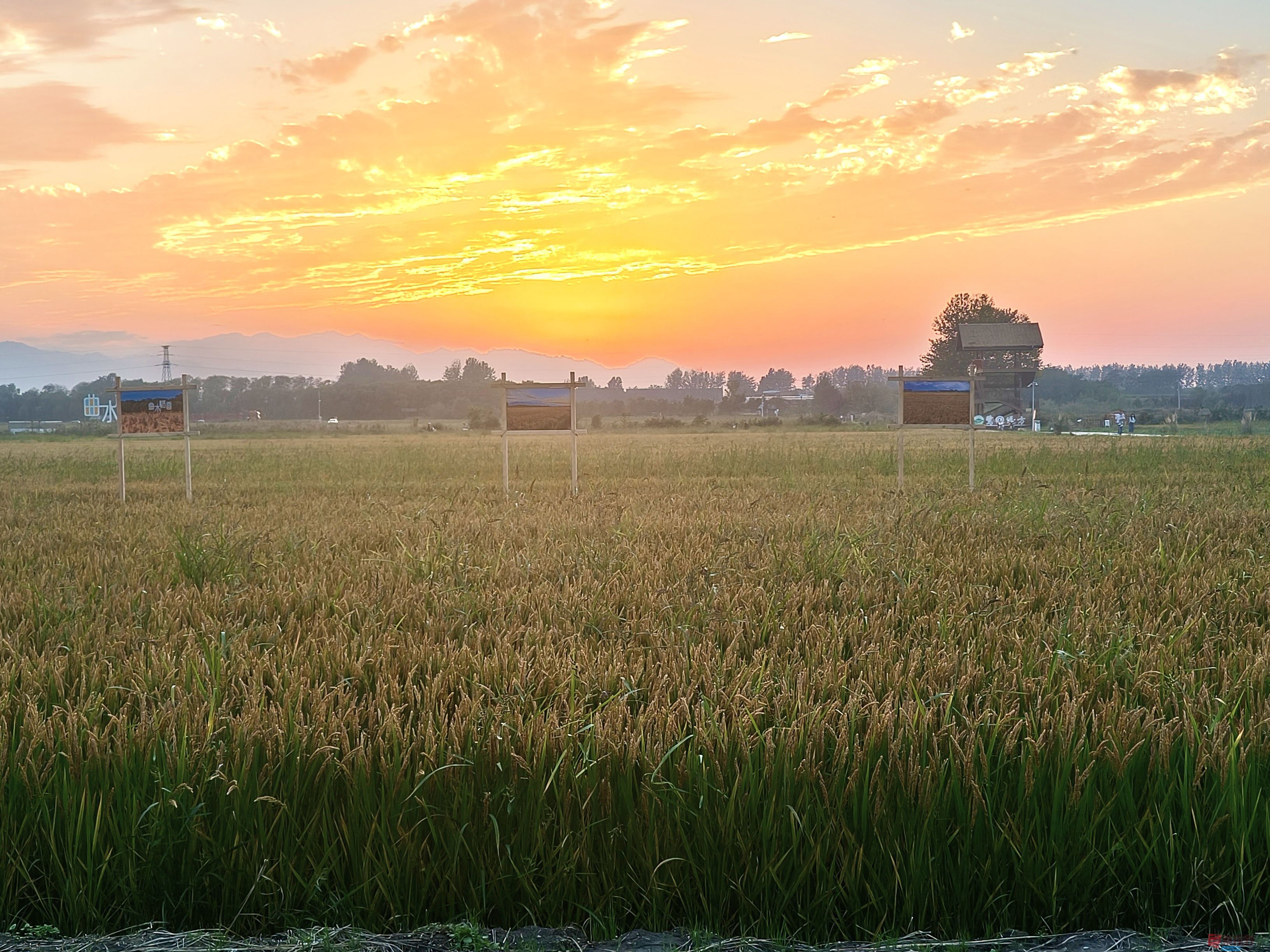 任周民_20251105161746_135_1580 (5).jpg