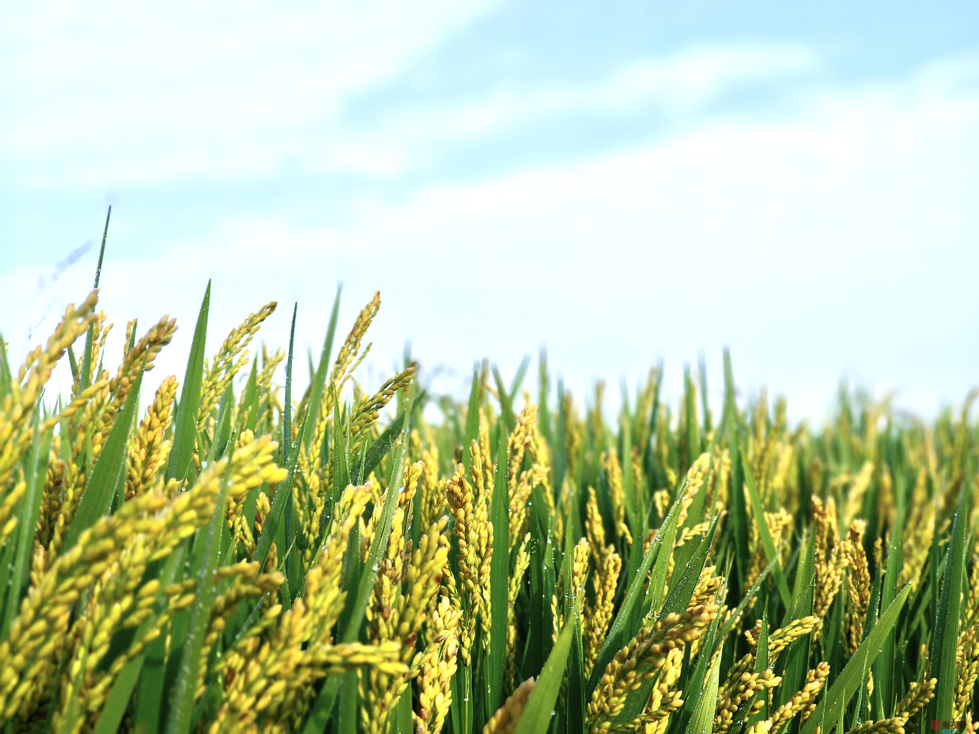 任周民_20251105161746_135_1580 (8).jpg